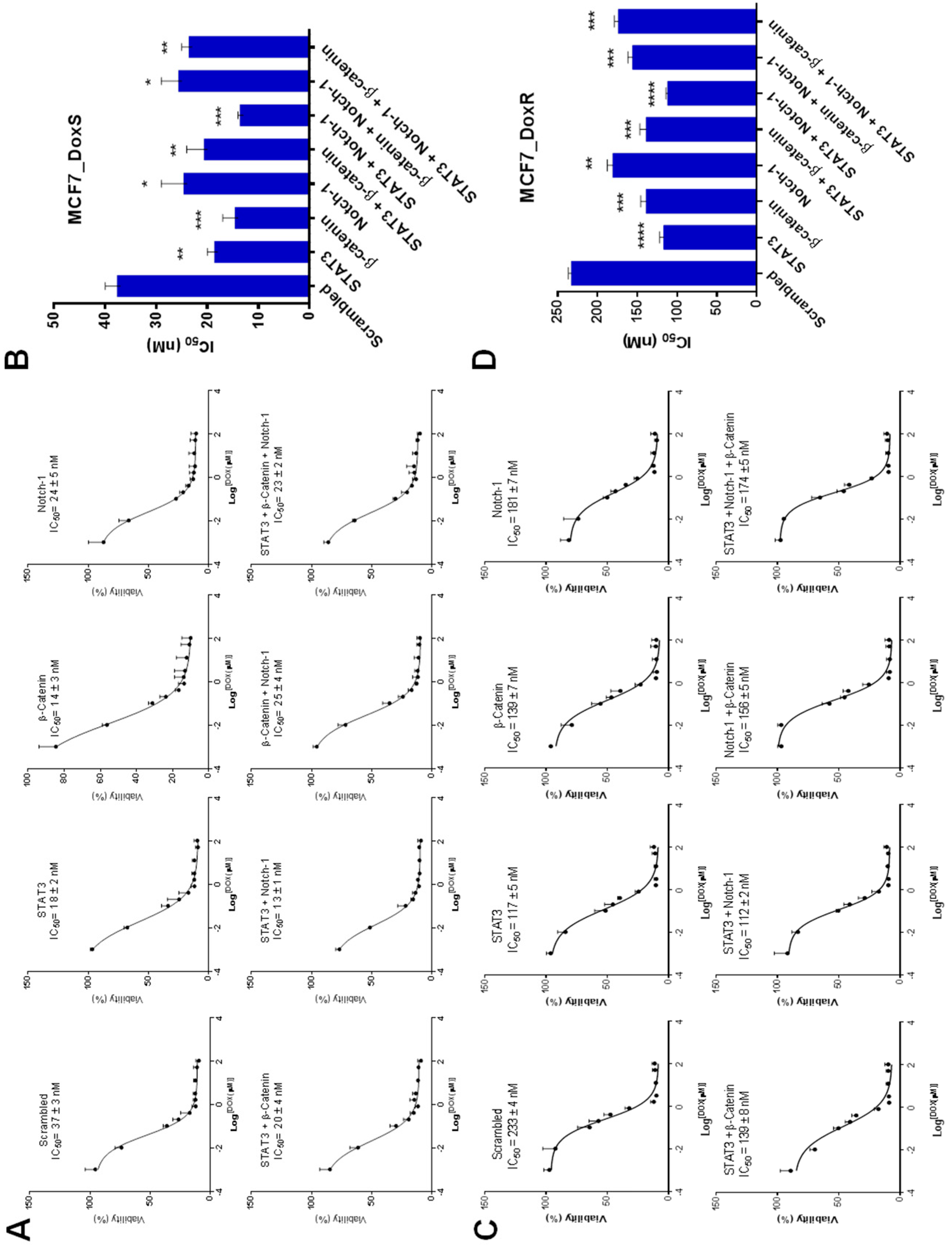 Ijms 20 03696 g007 Ijms 20 03696 g007