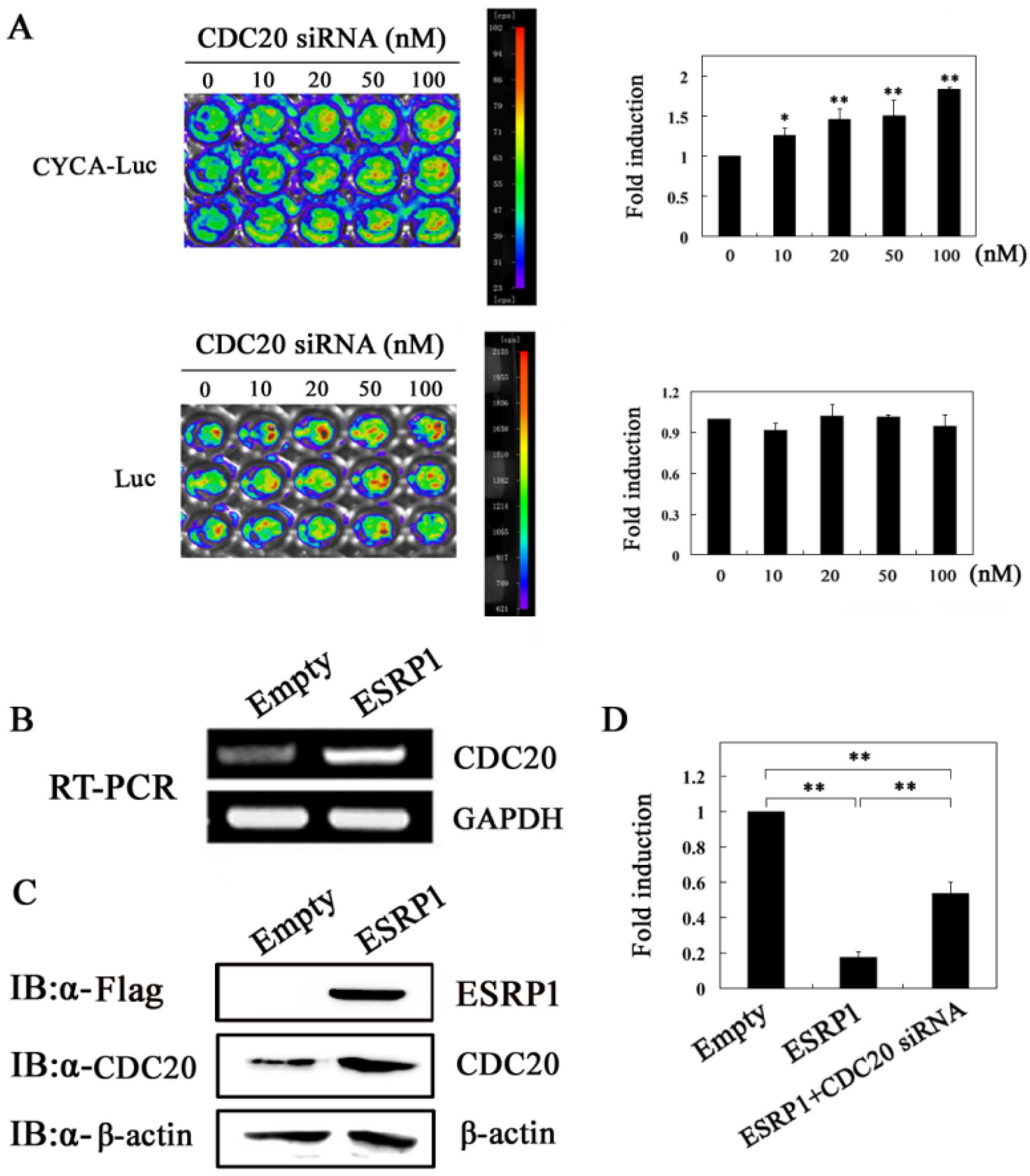 Ijms 20 03705 g005 Ijms 20 03705 g005