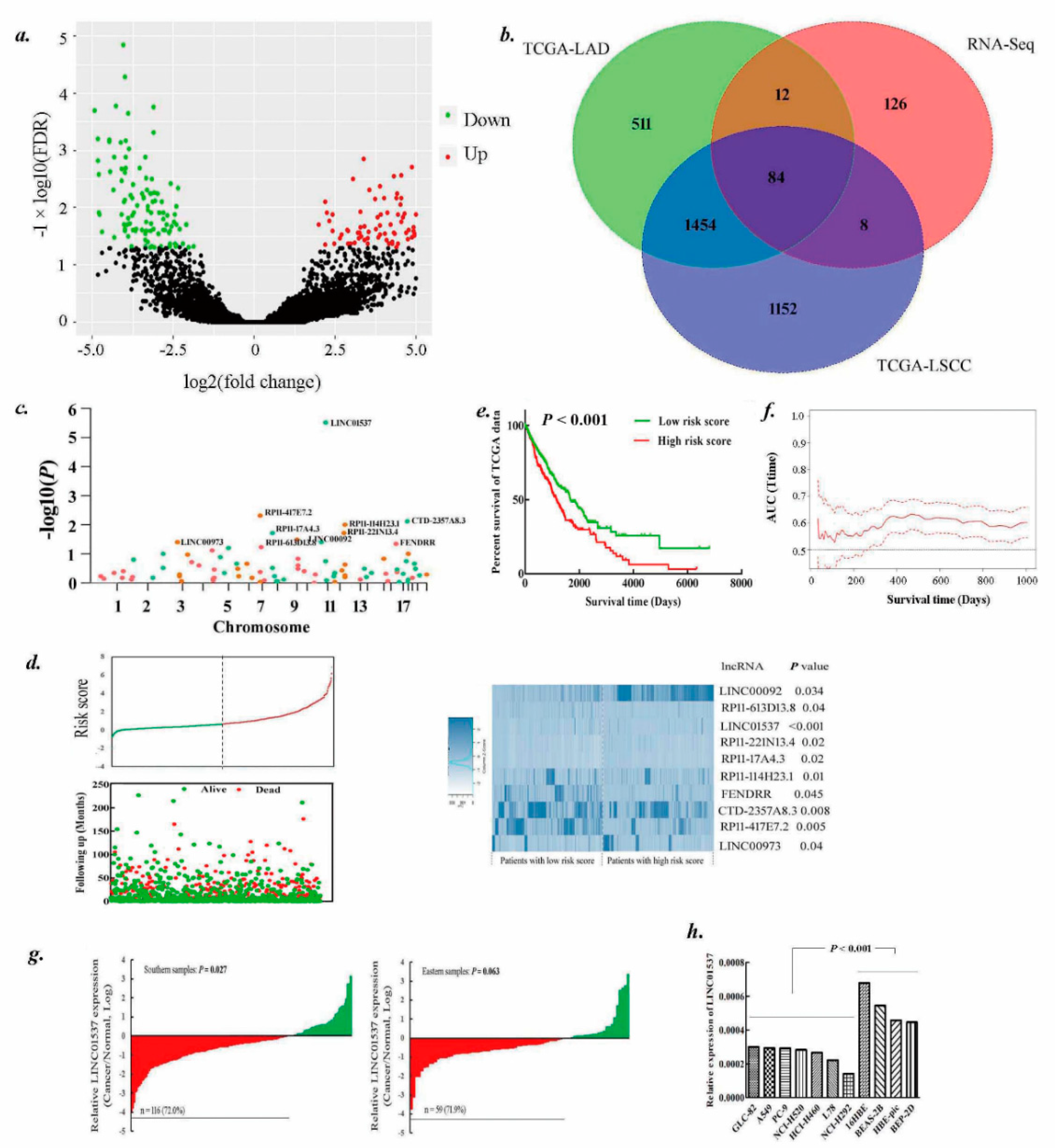 Ijms 20 03713 g001 Ijms 20 03713 g001