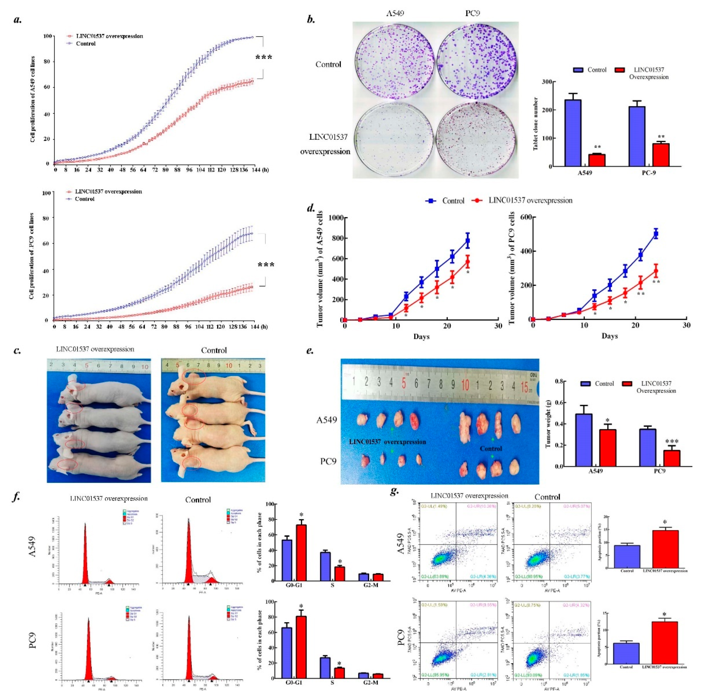 Ijms 20 03713 g002 Ijms 20 03713 g002