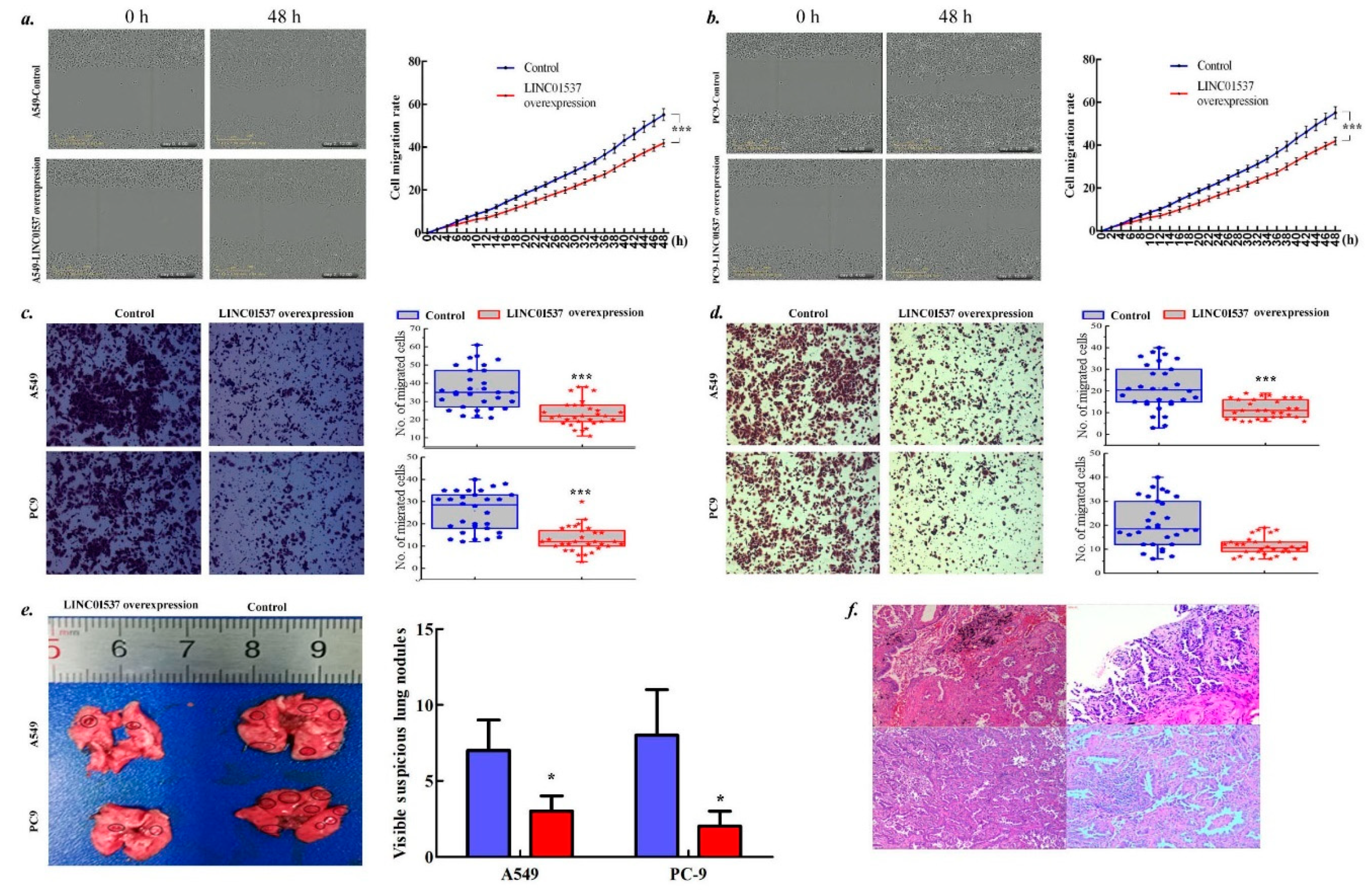 Ijms 20 03713 g003 Ijms 20 03713 g003