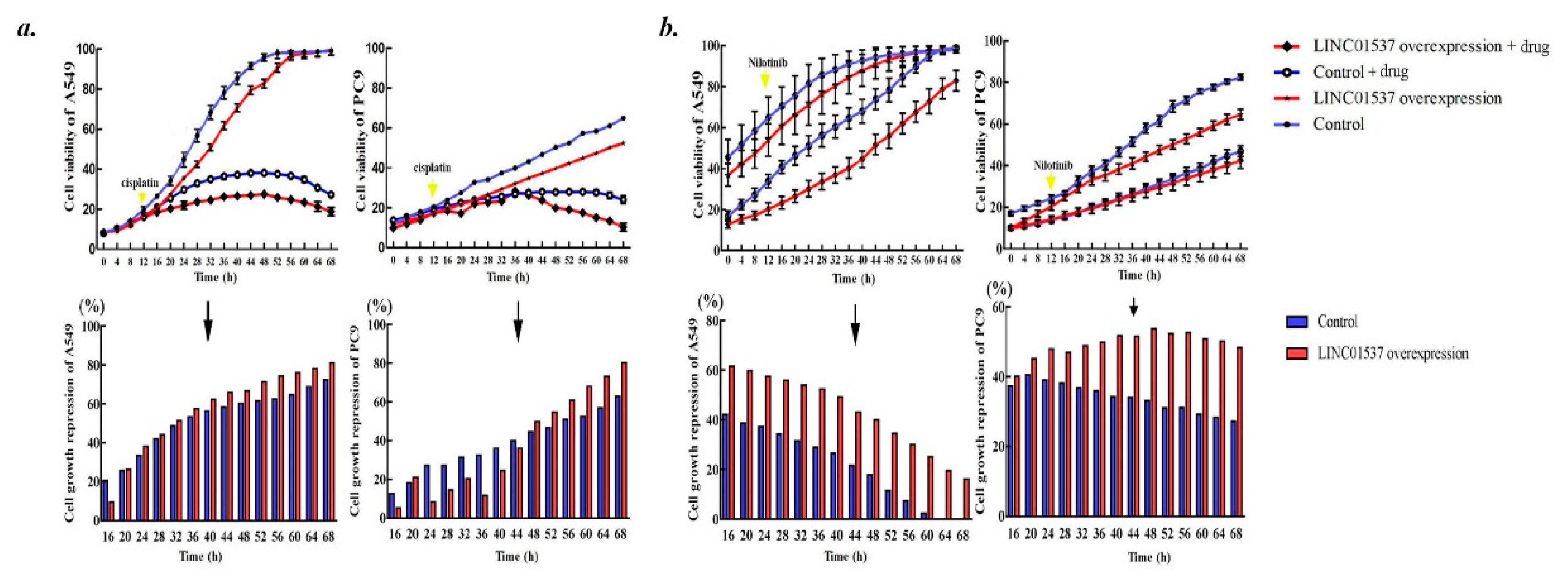 Ijms 20 03713 g004 Ijms 20 03713 g004