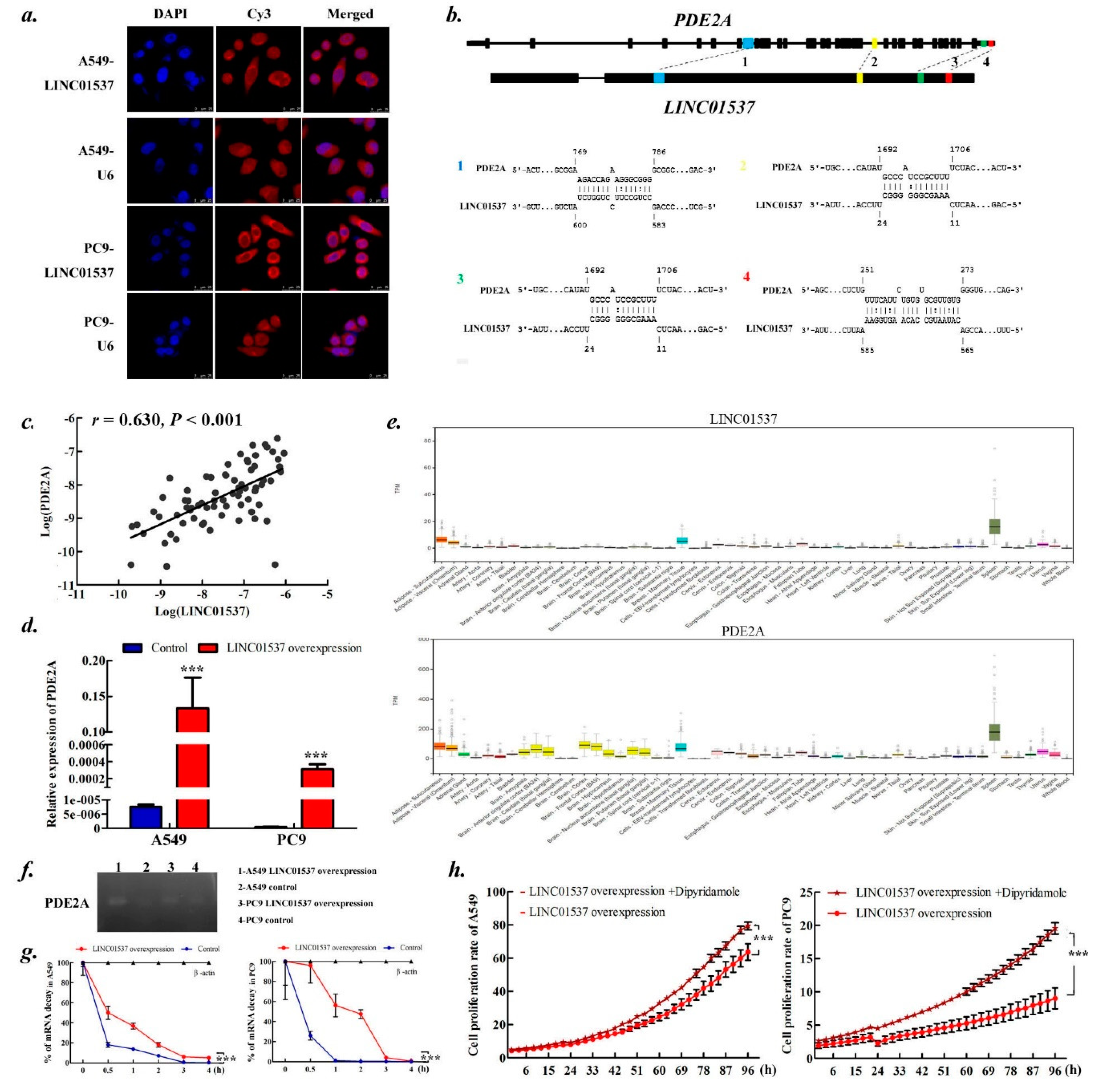 Ijms 20 03713 g005 Ijms 20 03713 g005