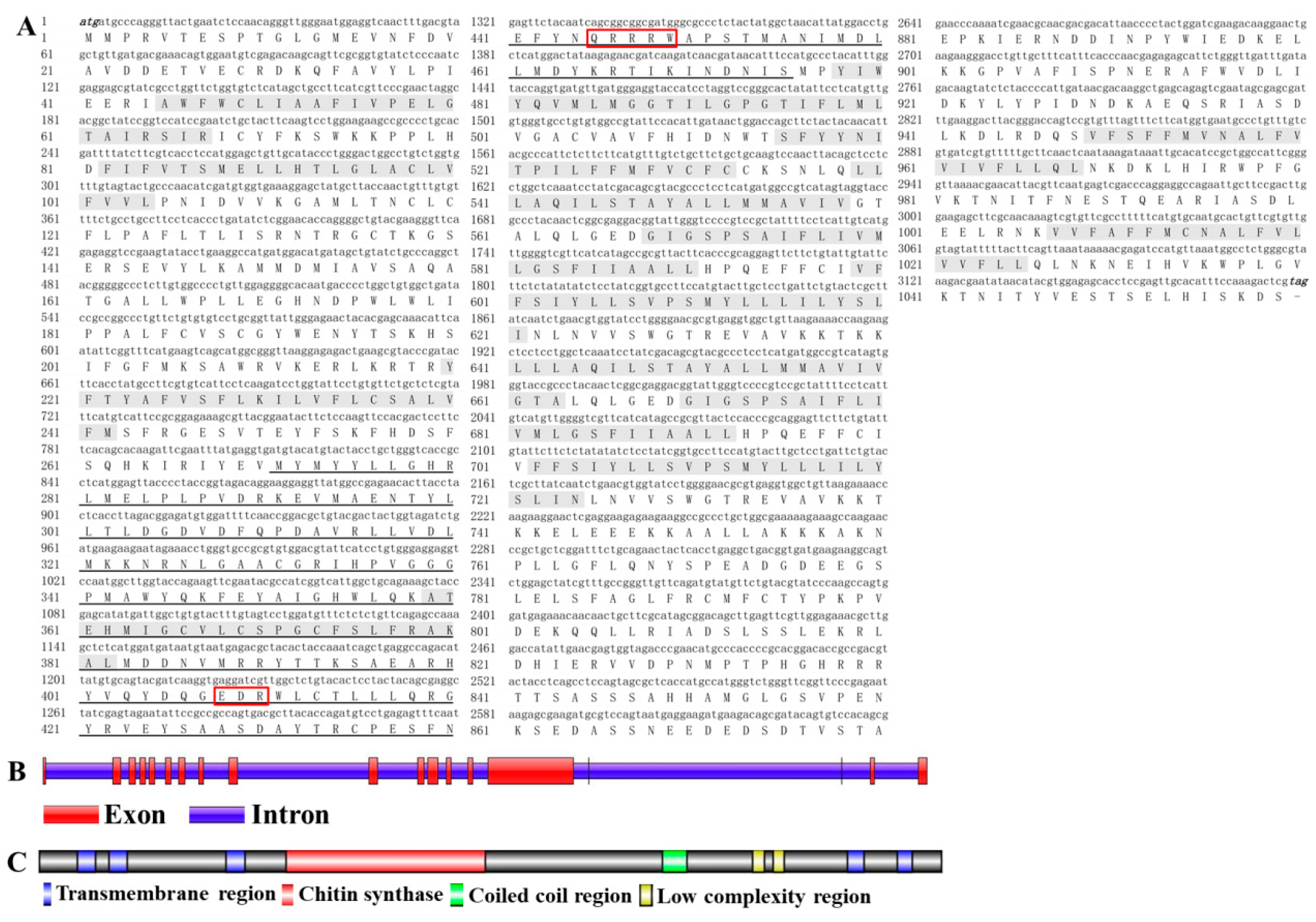 Ijms 20 03734 g001 550