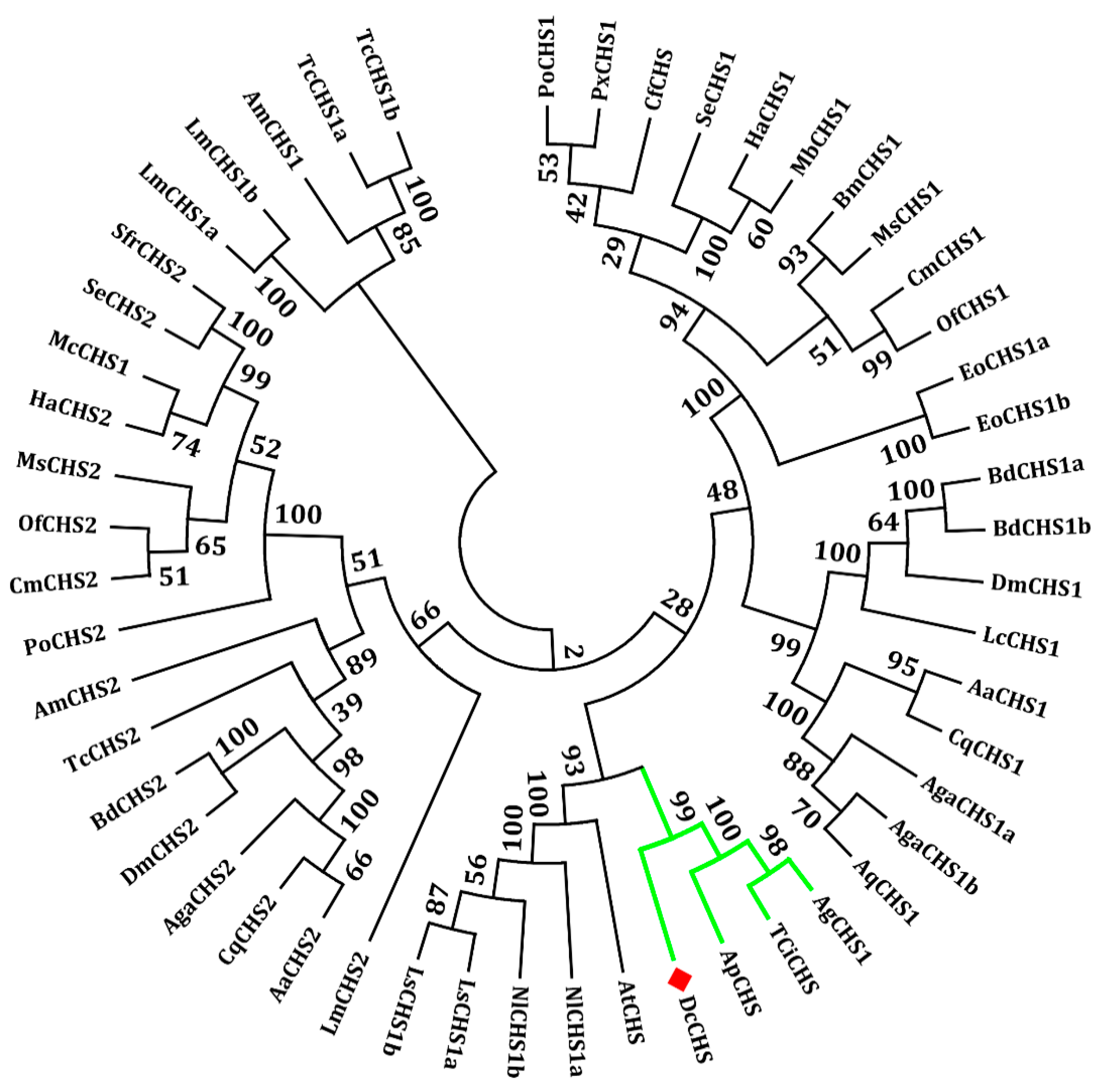Ijms 20 03734 g002 550