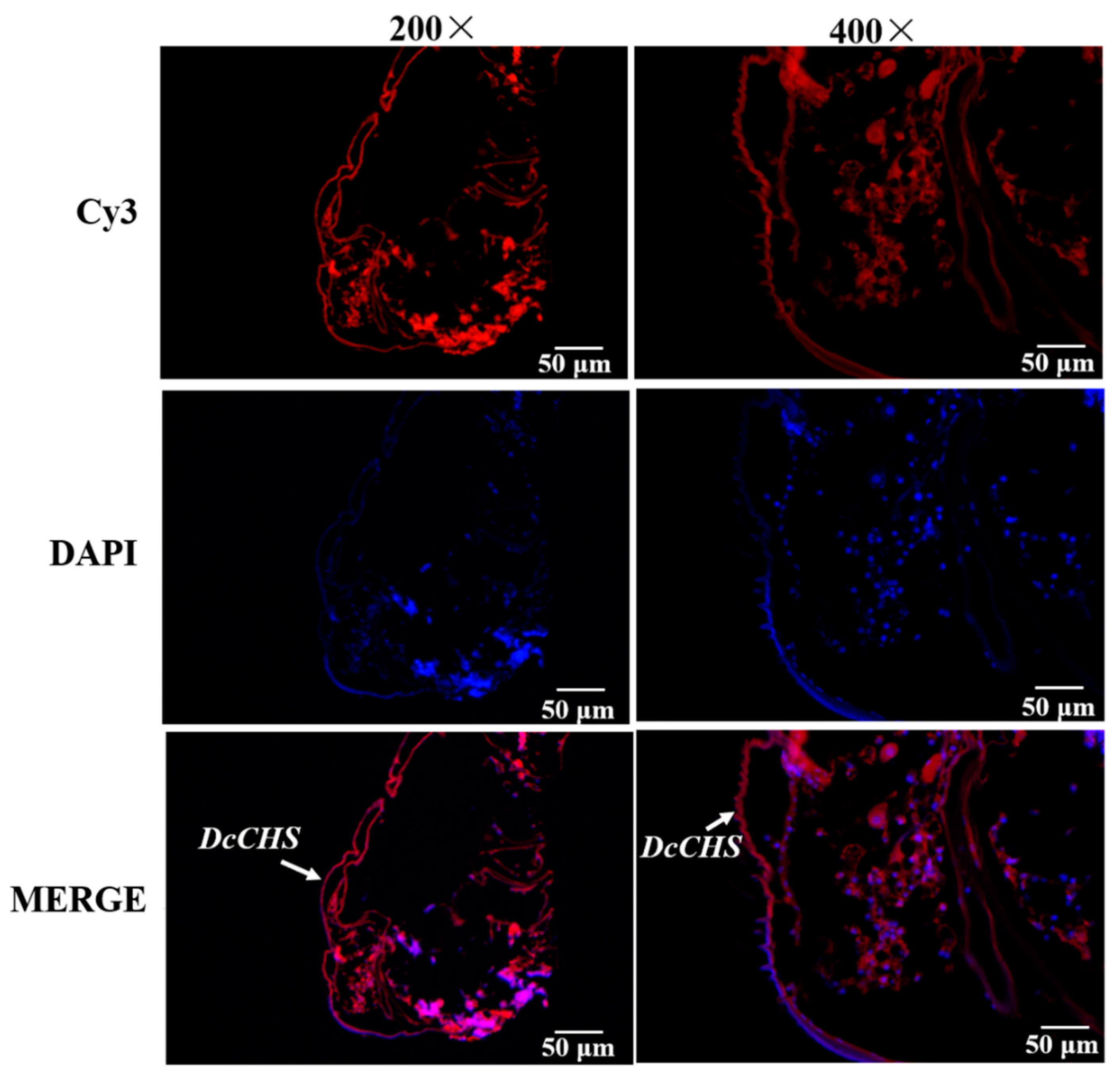 Ijms 20 03734 g005 550