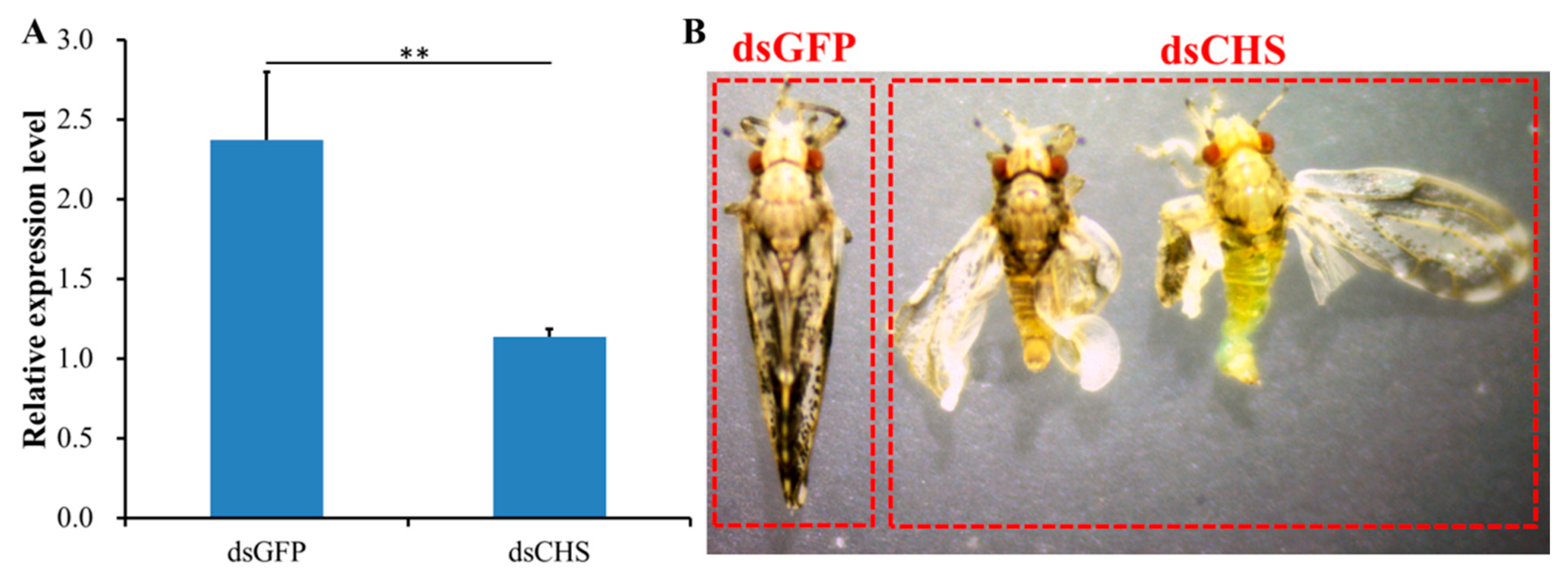 Ijms 20 03734 g006 550