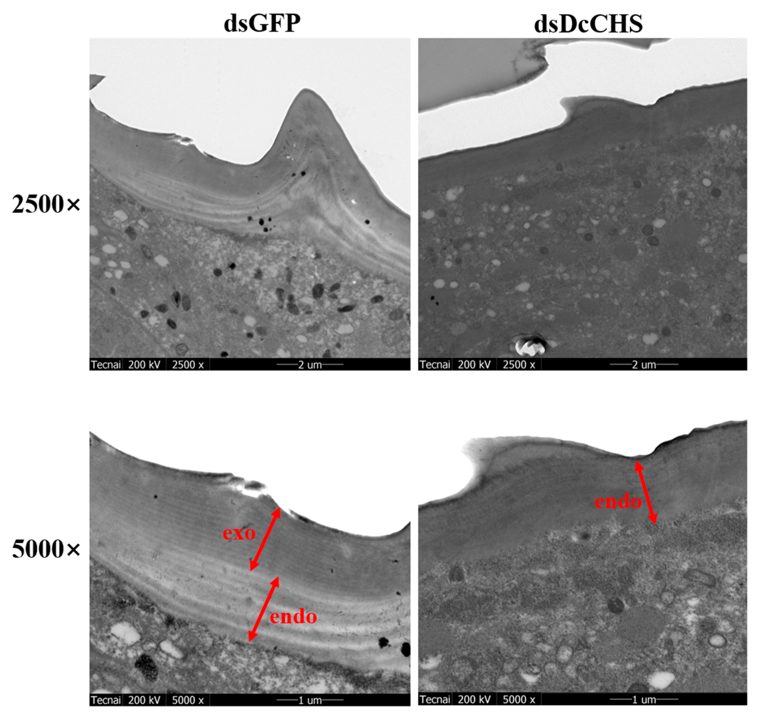 Ijms 20 03734 g008 550