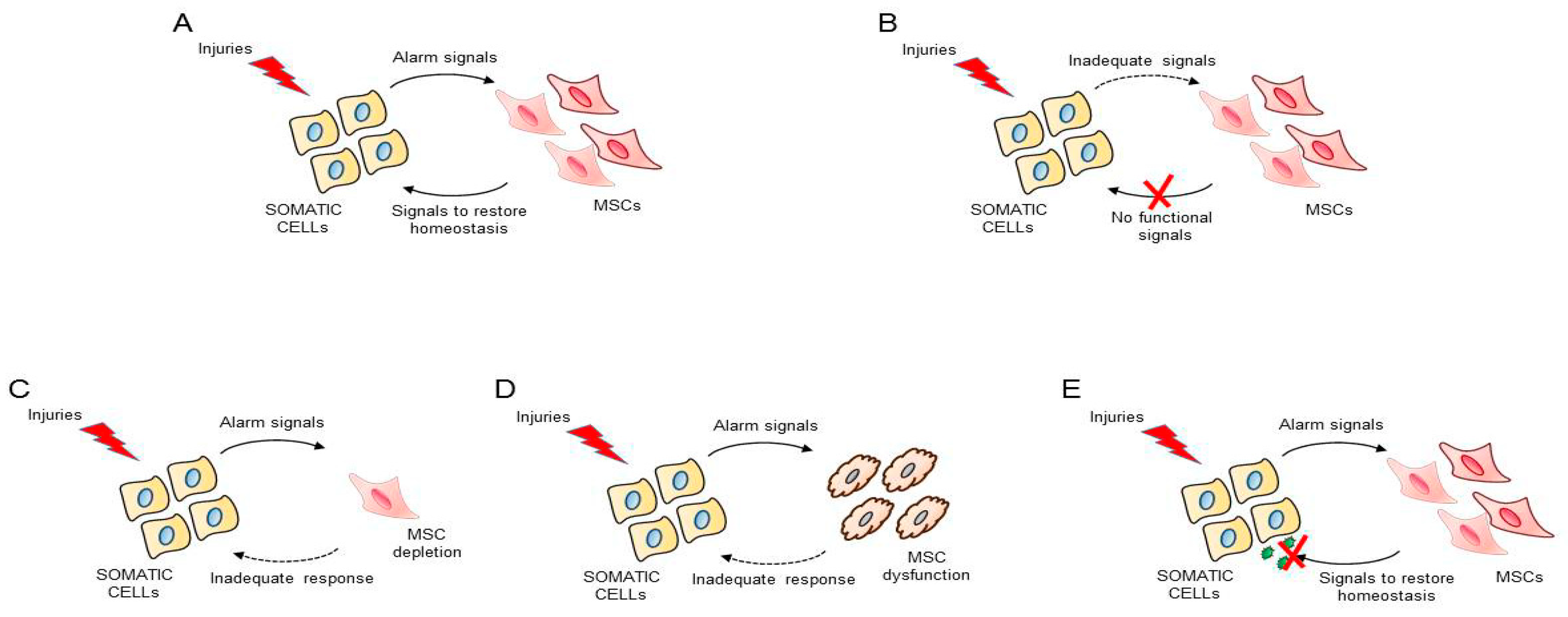Togel Cc Japan
, Ijms Free Full Text Mesenchymal Stem Cells In Homeostasis And Systemic Diseases Hypothesis Evidences And Therapeutic Opportunities Html