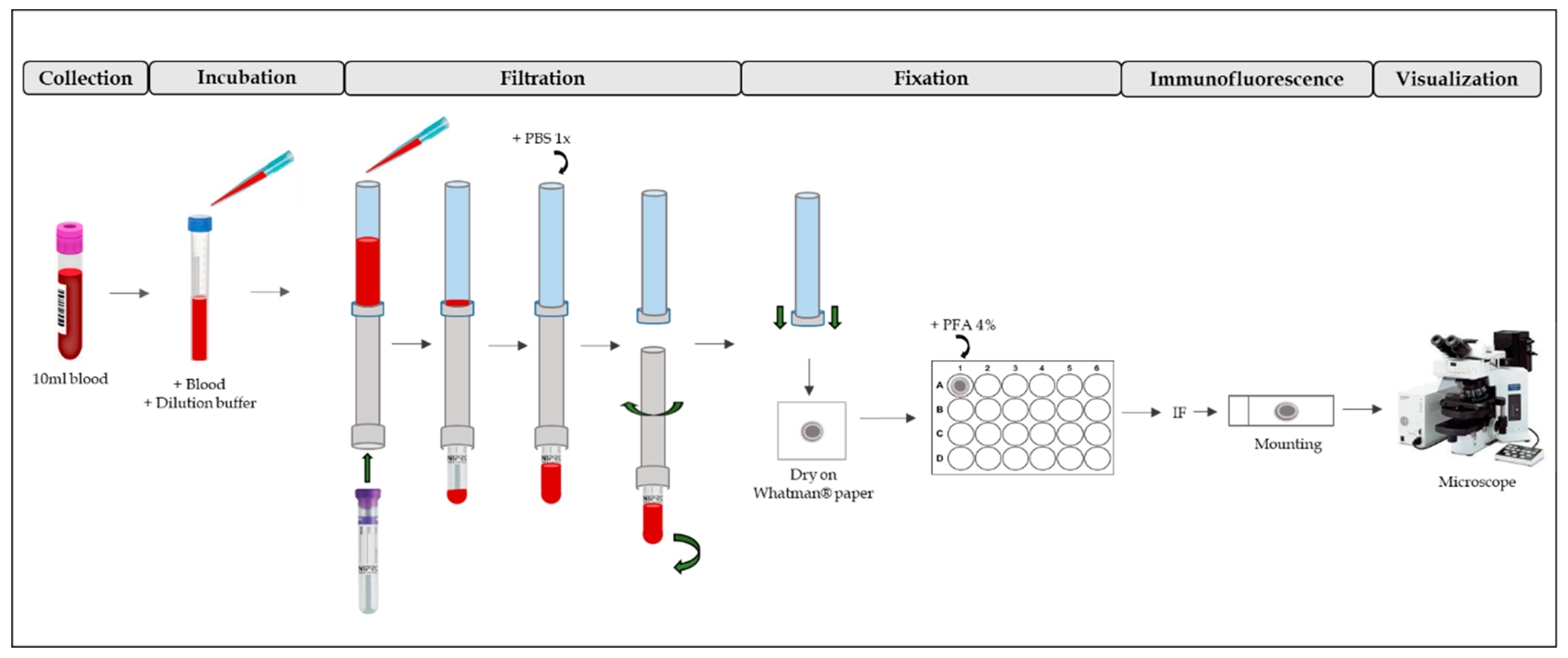Ijms 20 03740 g003 Ijms 20 03740 g003