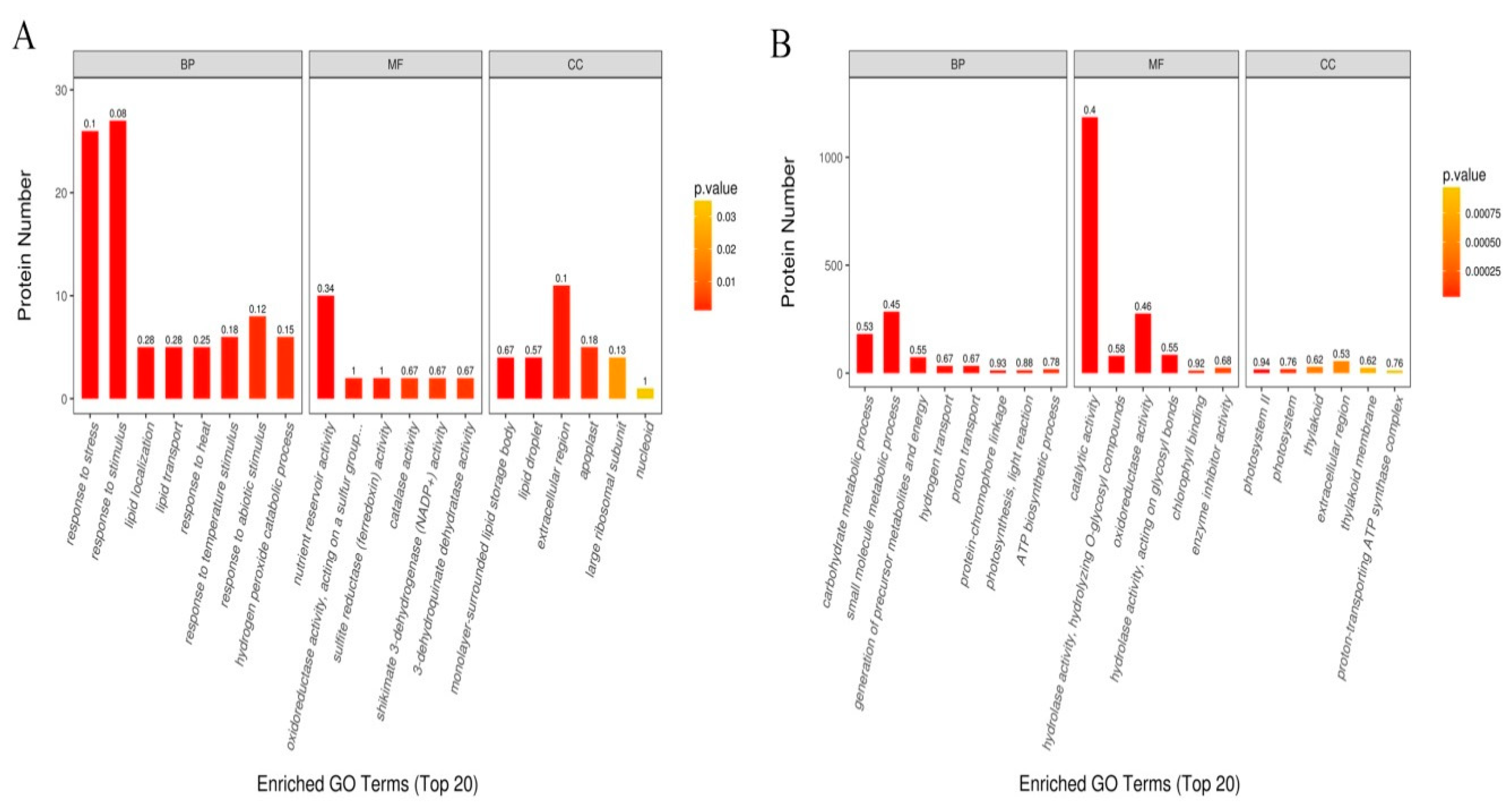 Ijms 20 03743 g005 Ijms 20 03743 g005