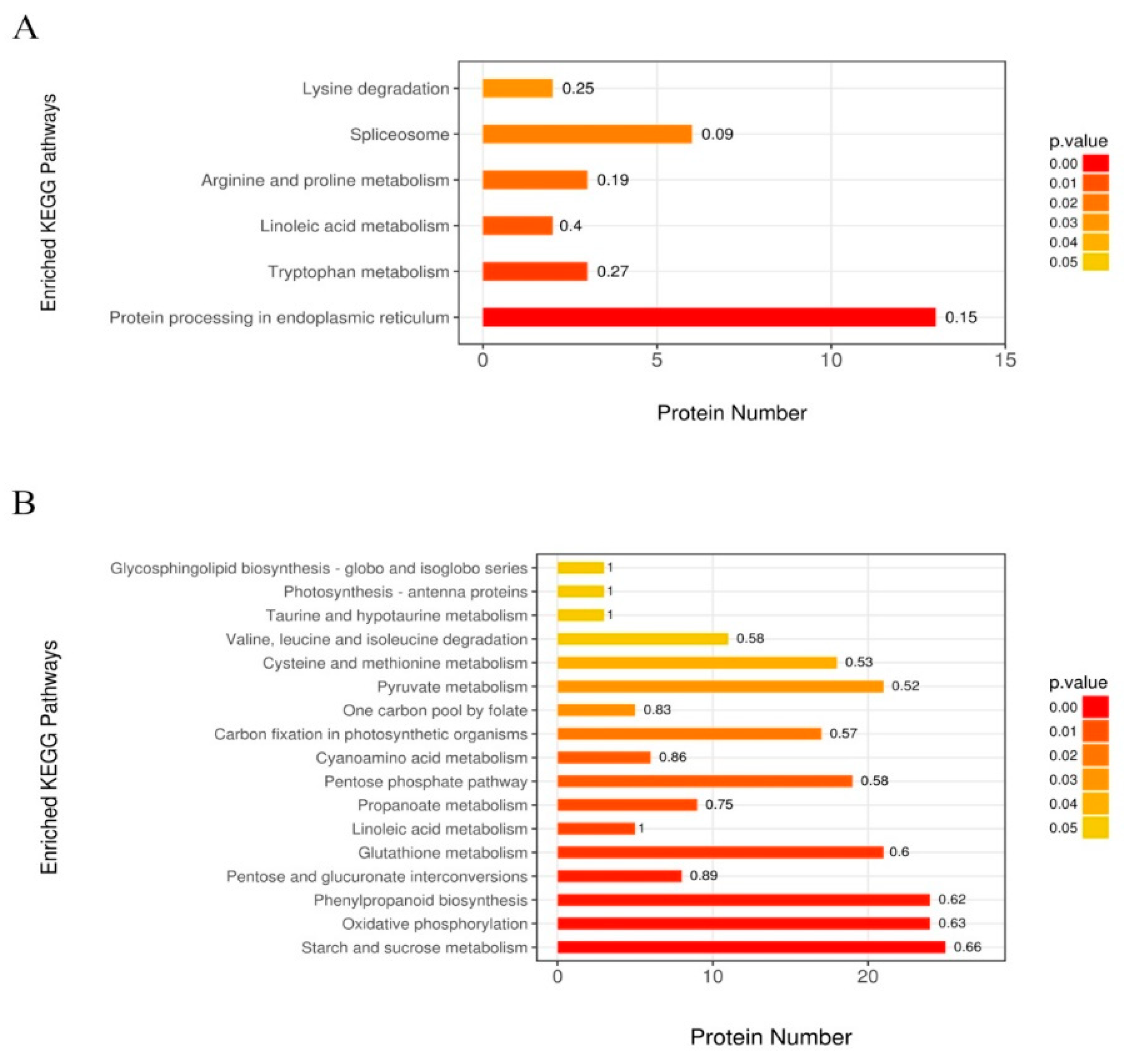 Ijms 20 03743 g006 Ijms 20 03743 g006