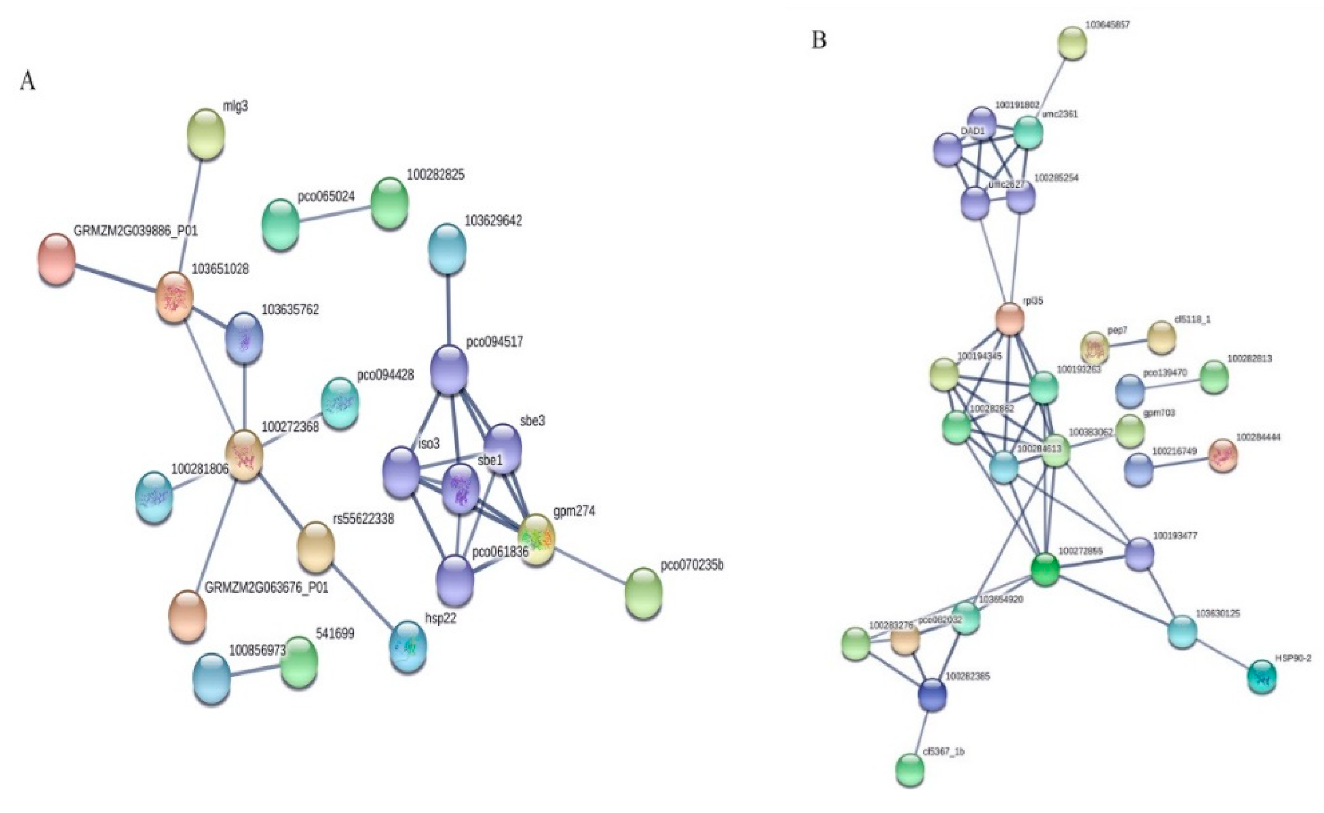 Ijms 20 03743 g007 Ijms 20 03743 g007