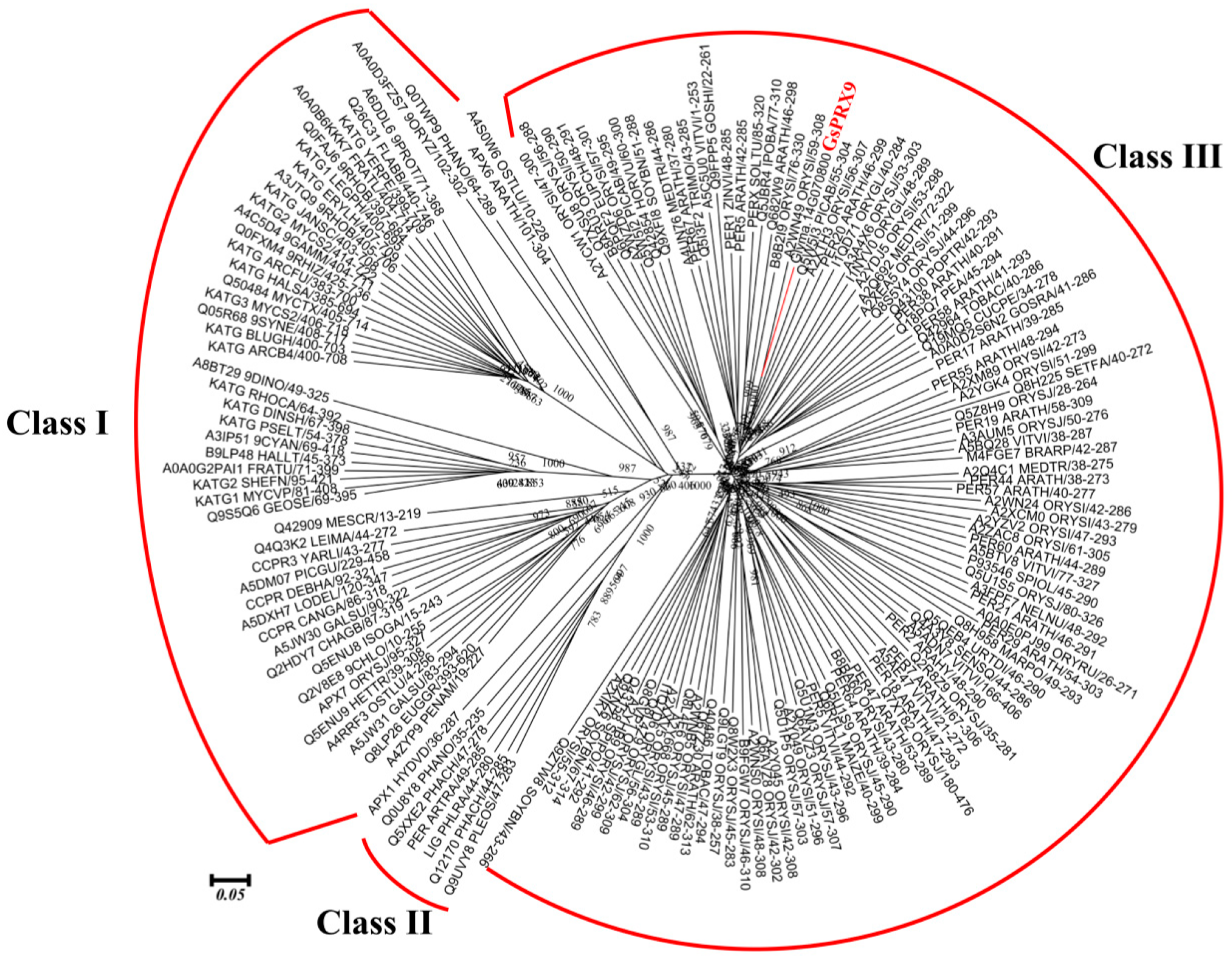 Ijms 20 03745 g001 Ijms 20 03745 g001