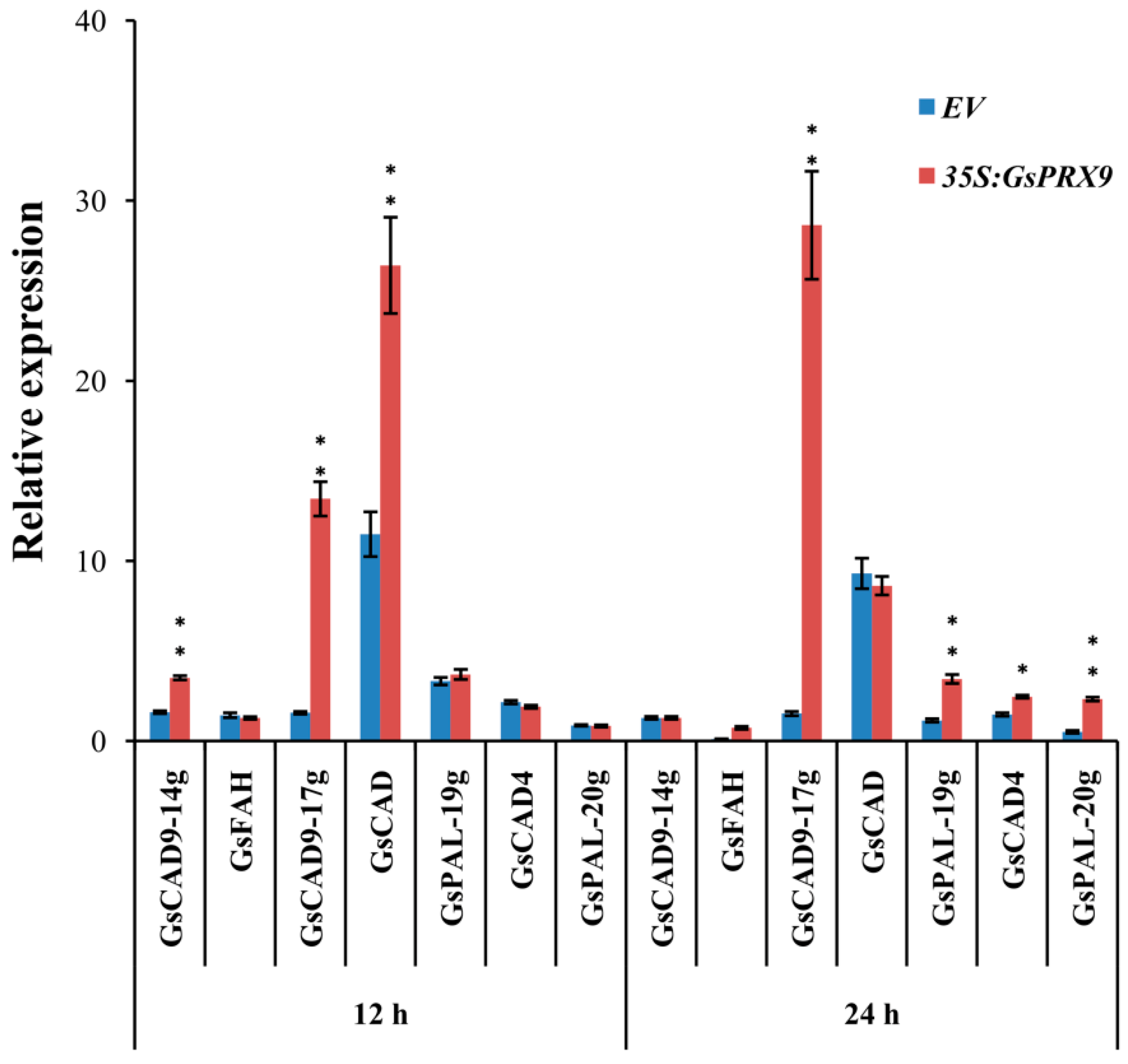 Ijms 20 03745 g007 Ijms 20 03745 g007