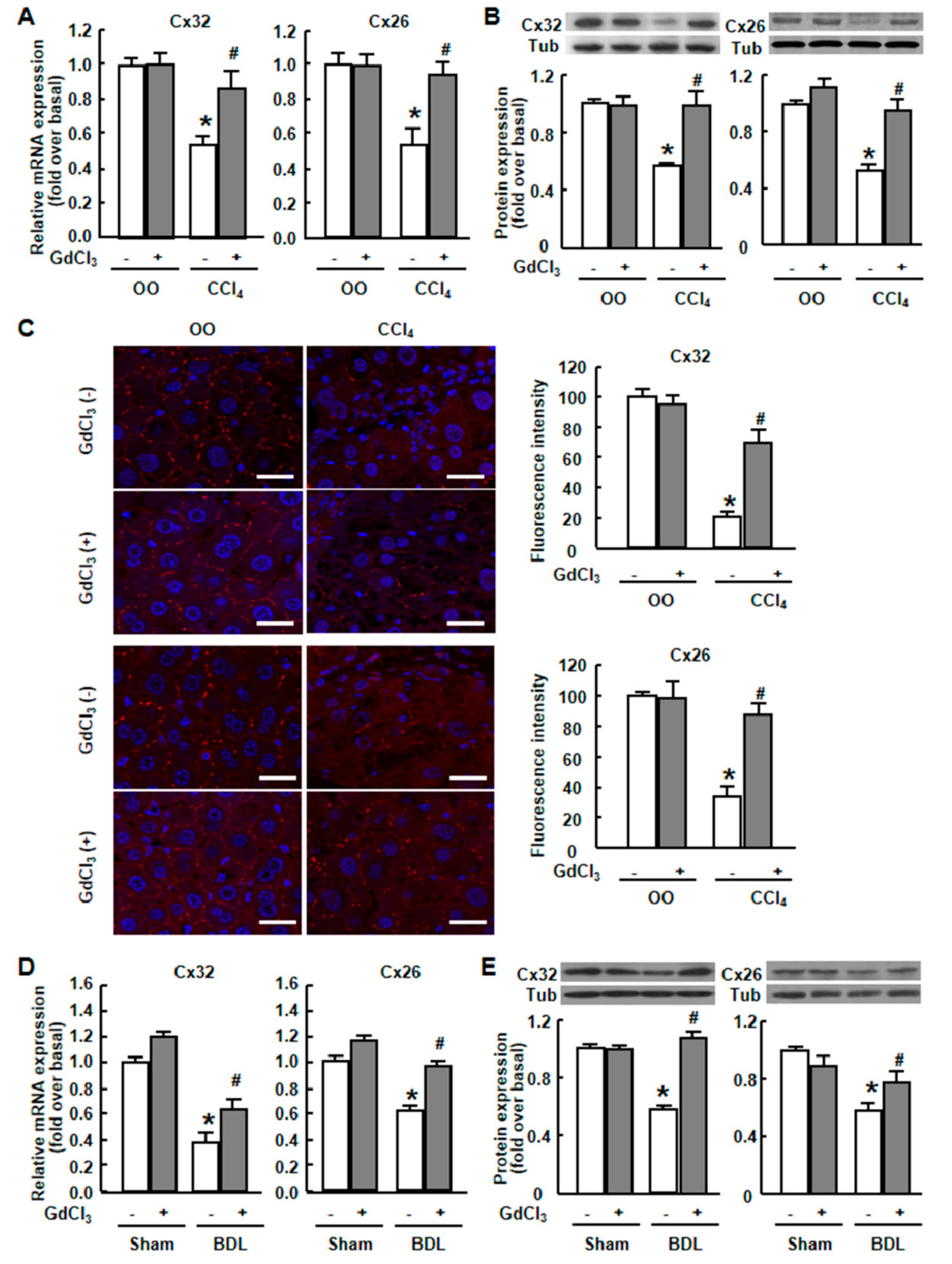 Ijms 20 03748 g002 Ijms 20 03748 g002