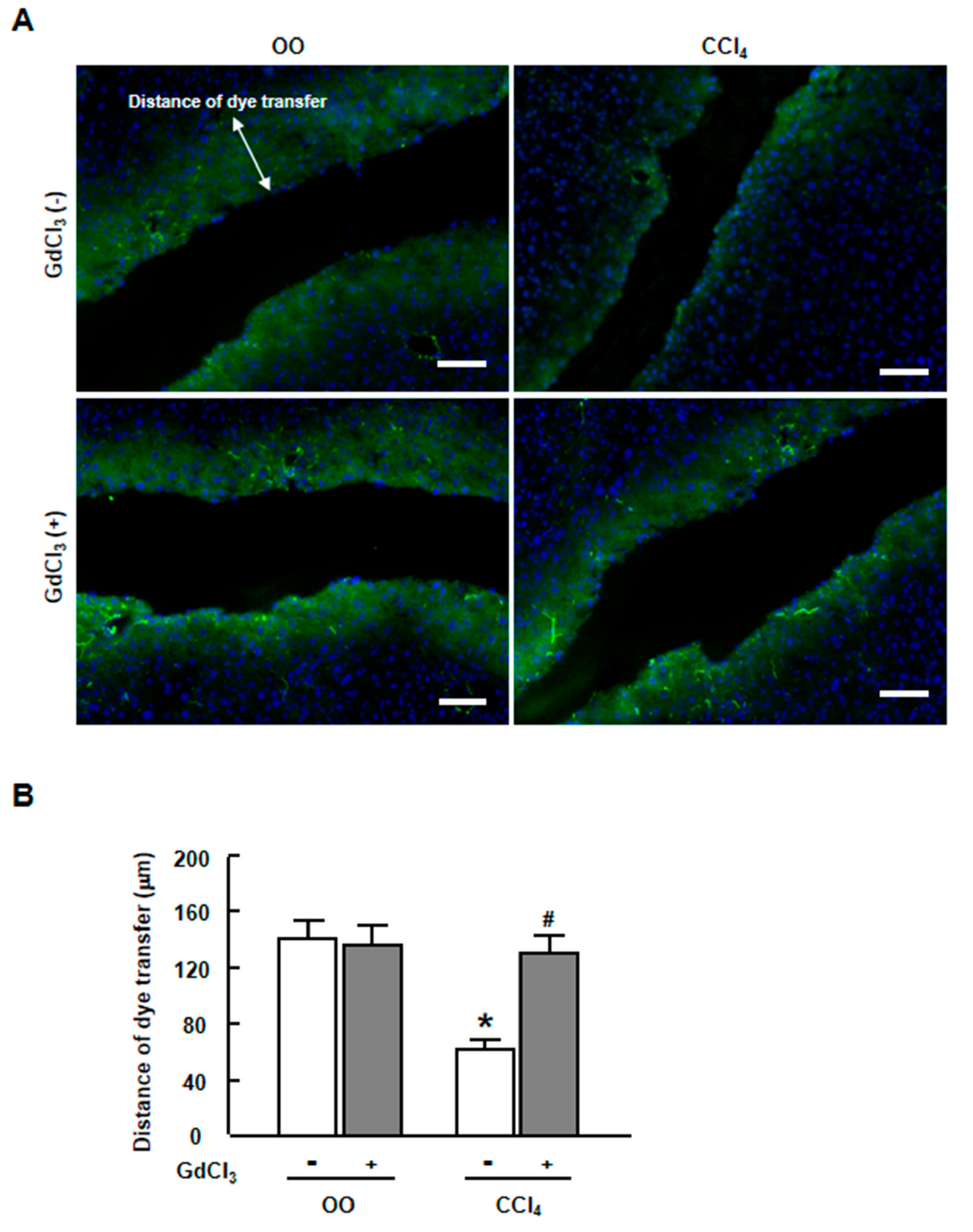 Ijms 20 03748 g003 Ijms 20 03748 g003