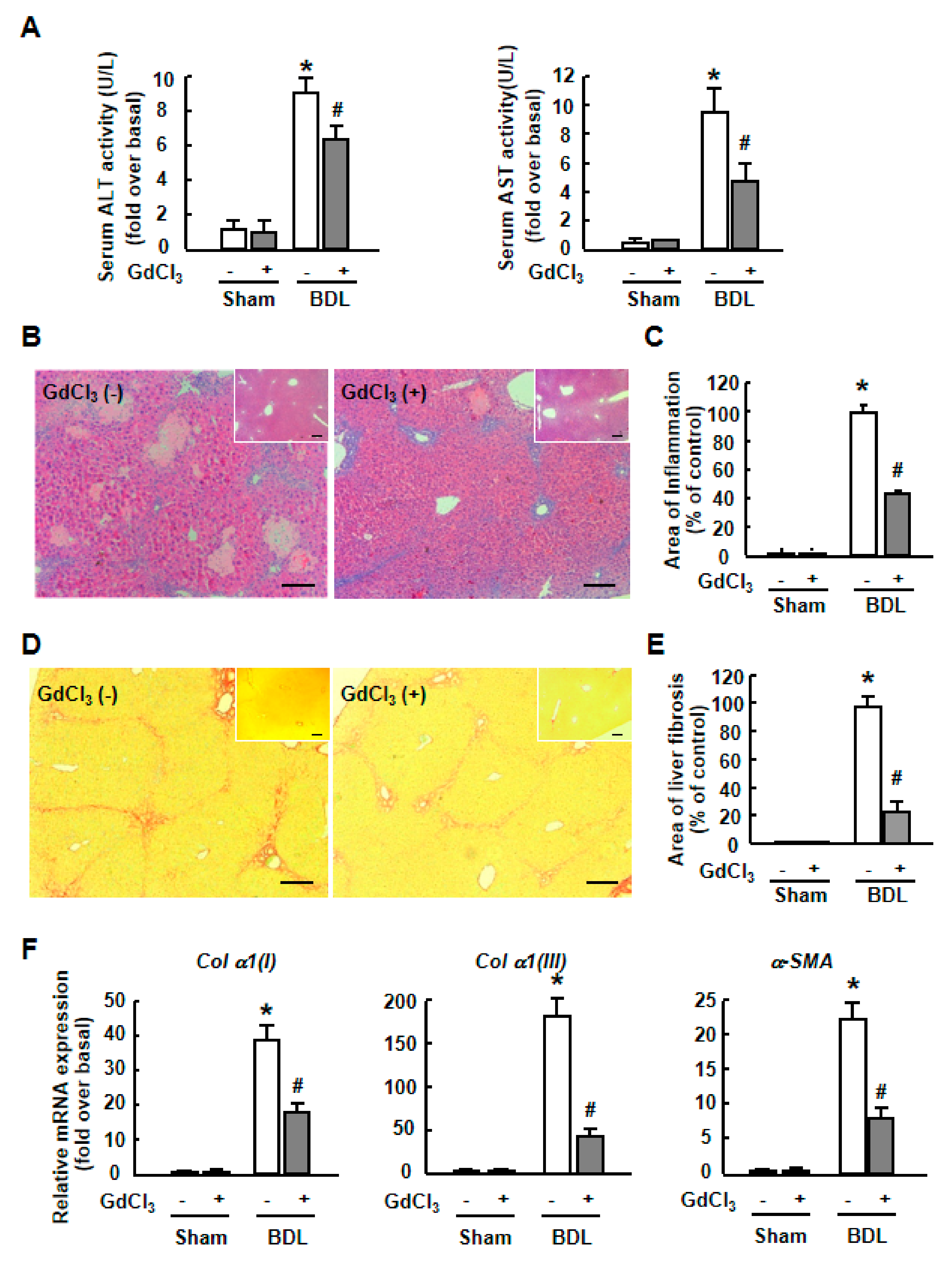Ijms 20 03748 g007 Ijms 20 03748 g007