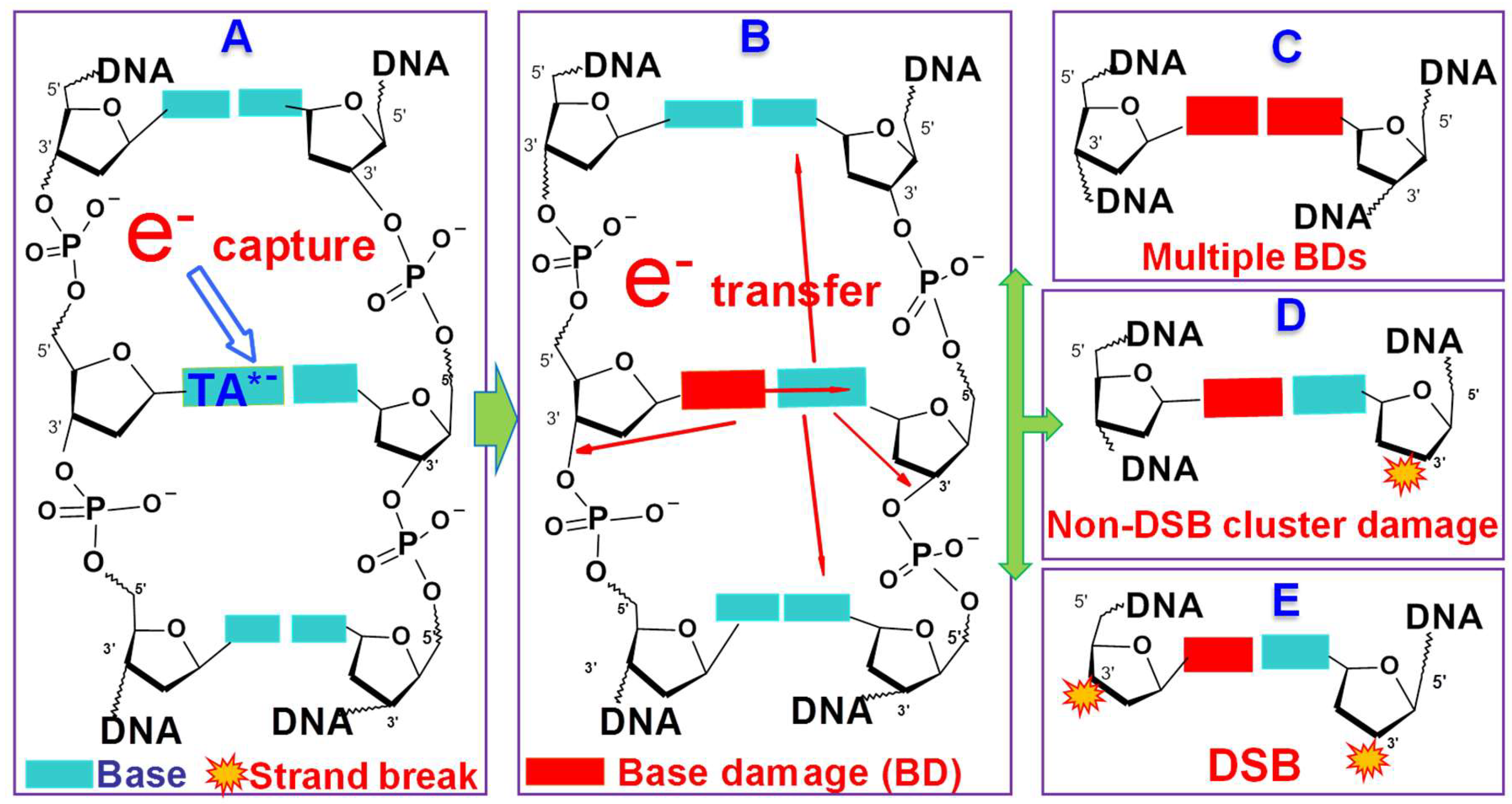 Ijms 20 03749 sch001