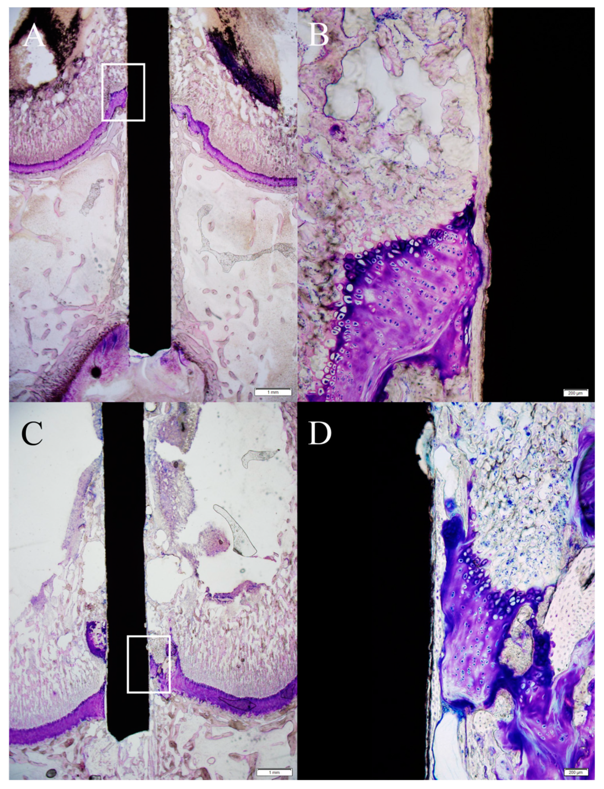 Ijms 20 03761 g003 550
