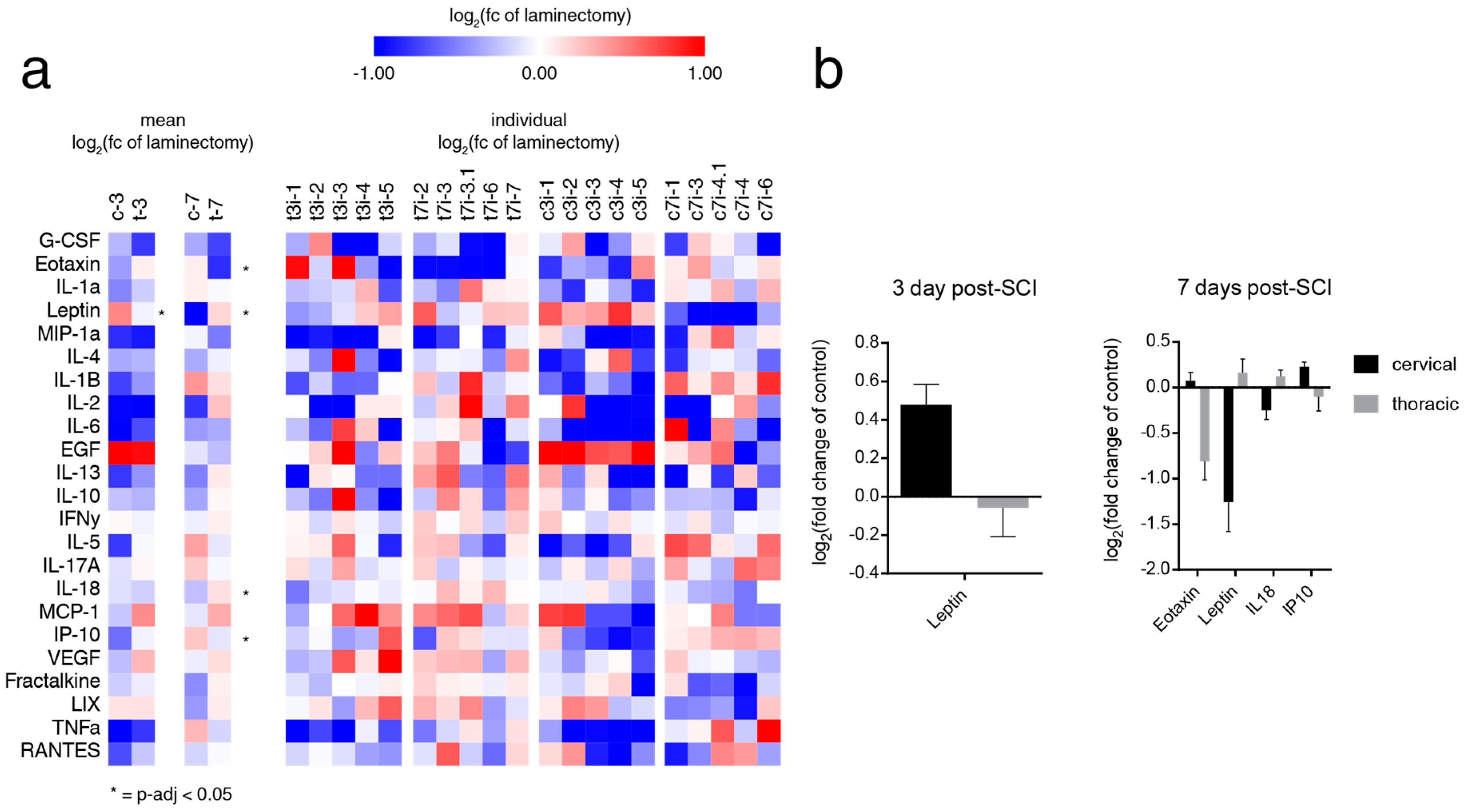 Ijms 20 03762 g004 Ijms 20 03762 g004