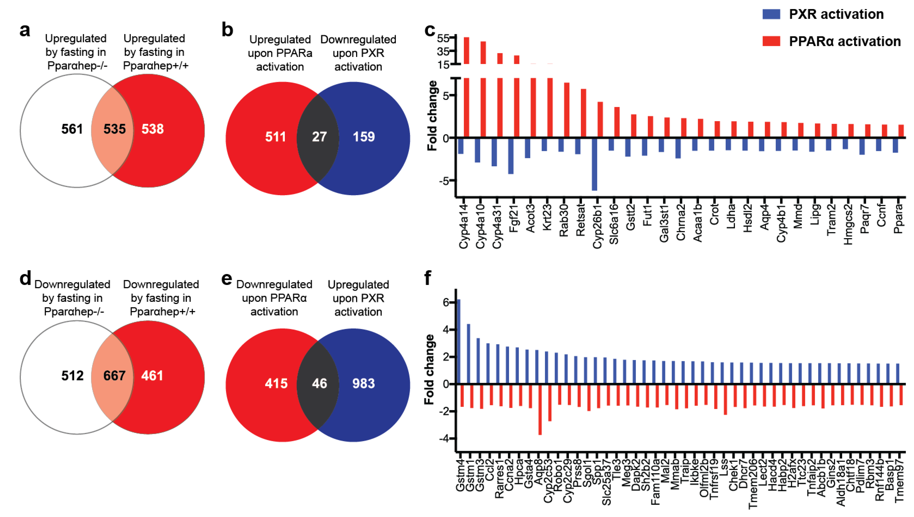 Ijms 20 03767 g003 Ijms 20 03767 g003