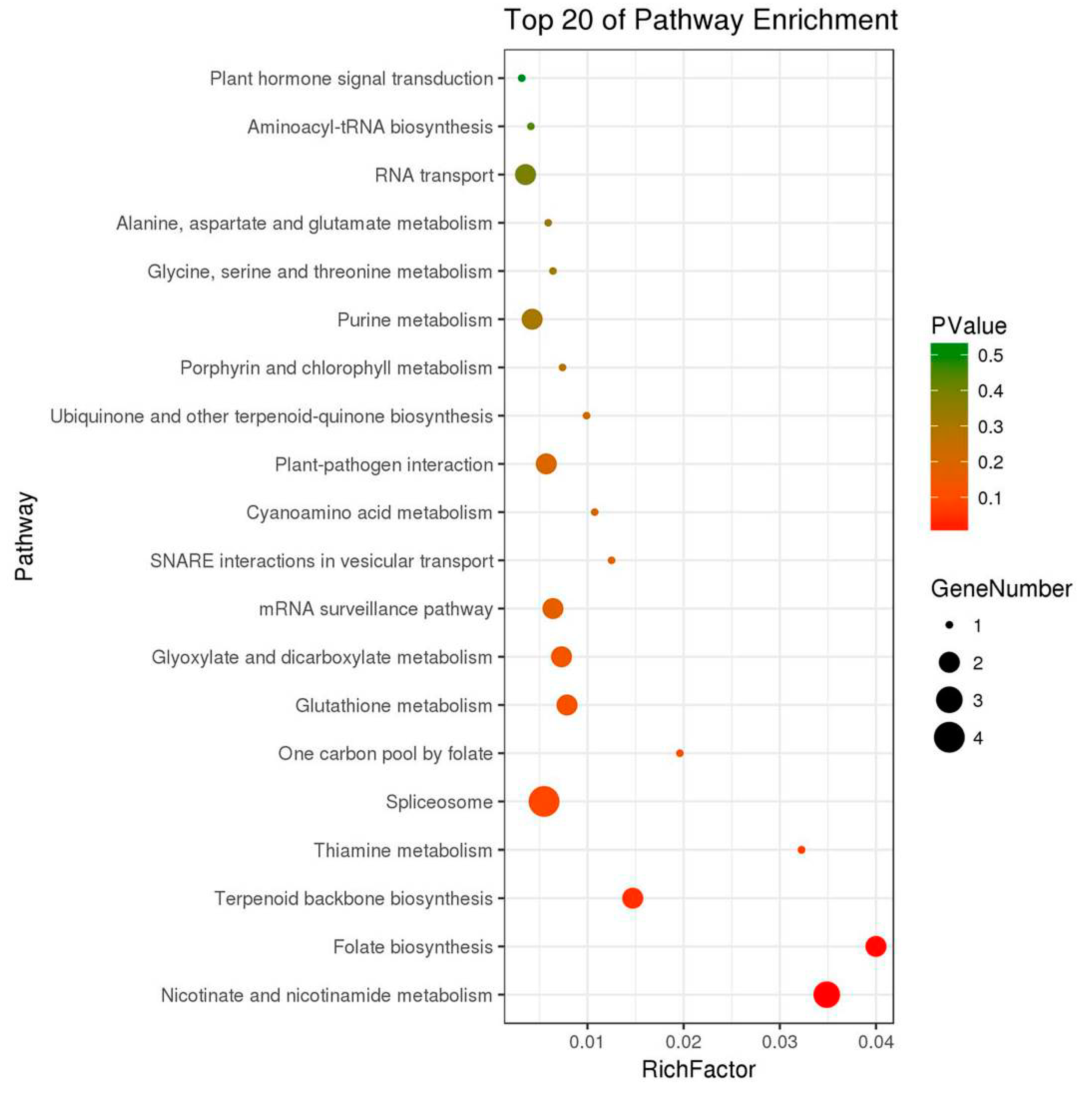 Ijms 20 03770 g003 Ijms 20 03770 g003