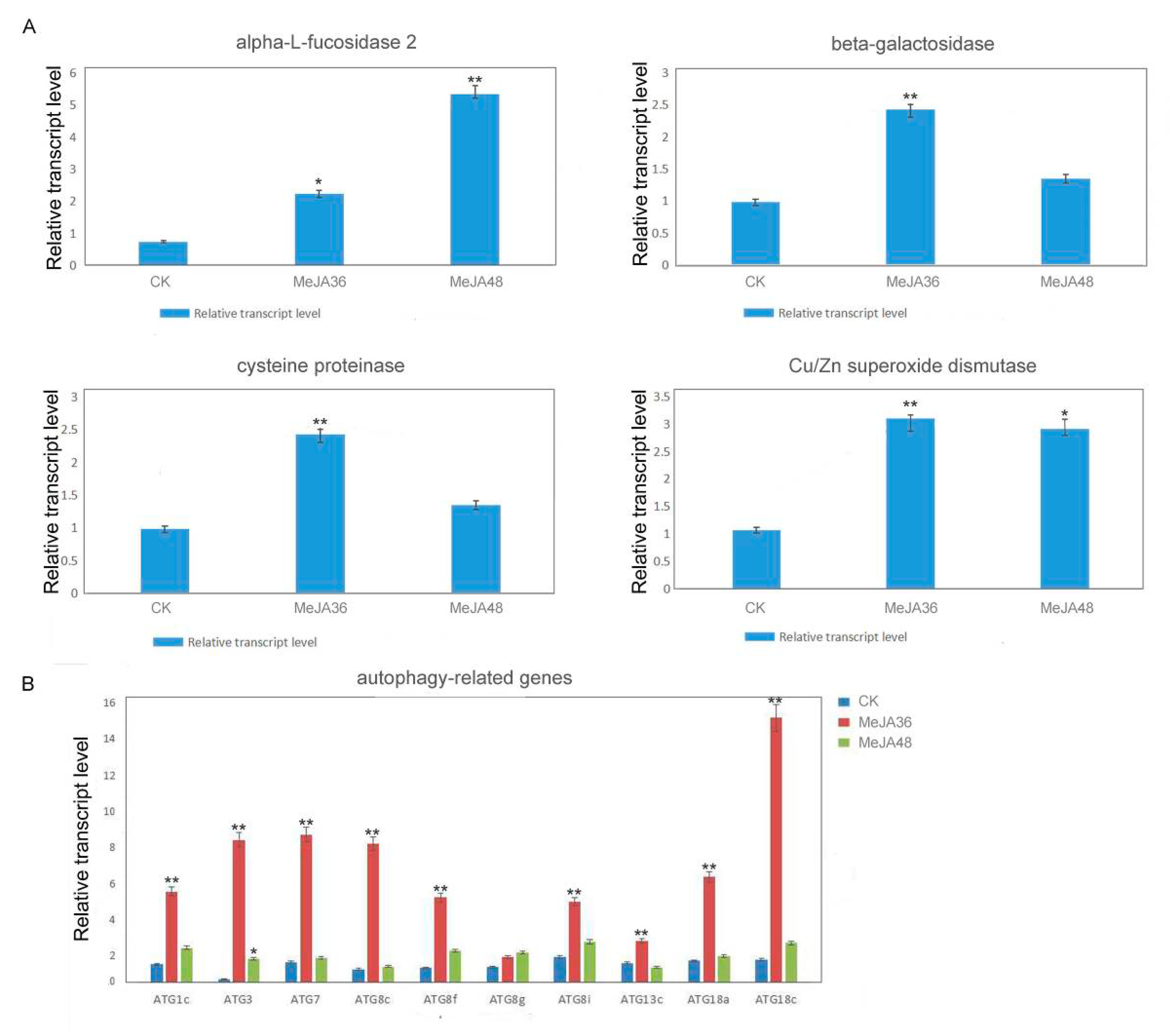 Ijms 20 03770 g004 Ijms 20 03770 g004