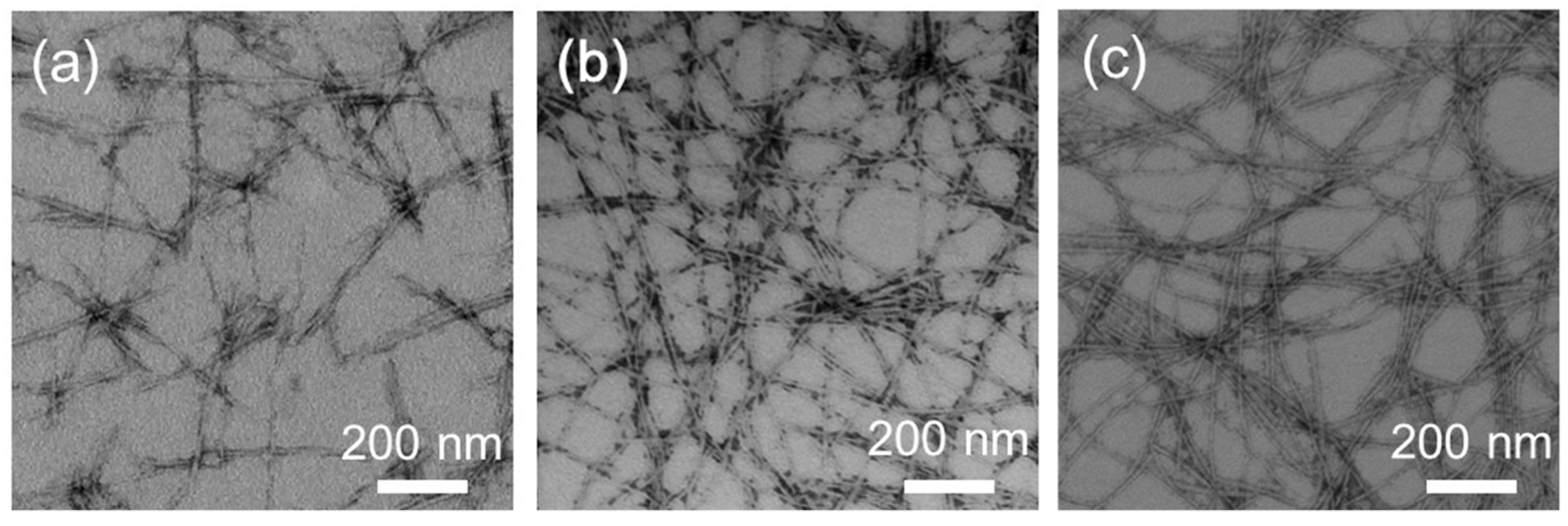 Ijms 20 03781 g003