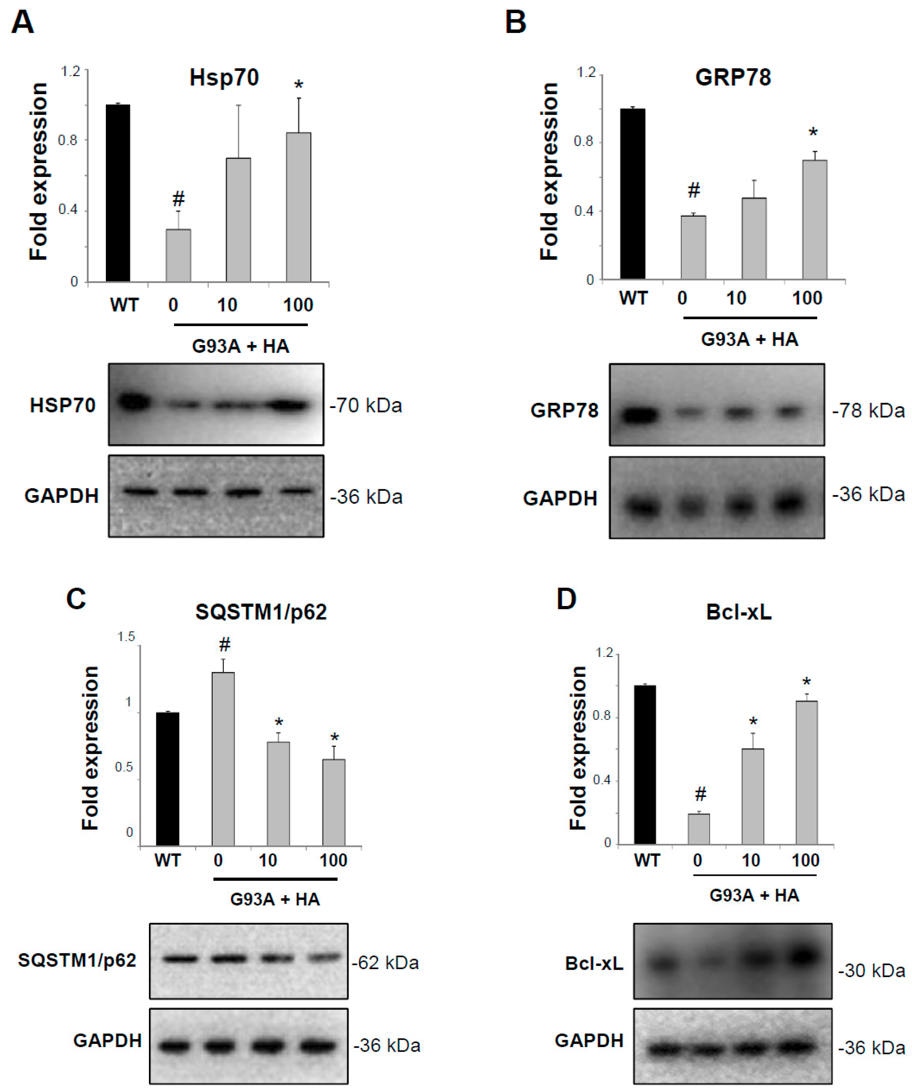 Ijms 20 03793 g001 Ijms 20 03793 g001