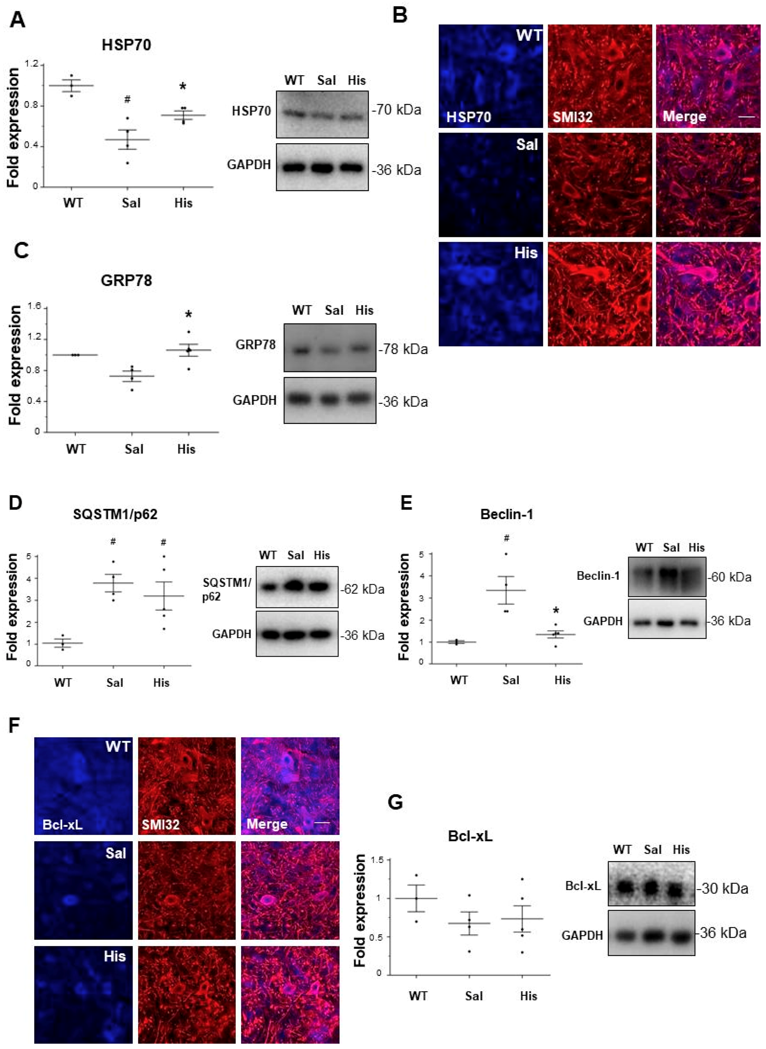 Ijms 20 03793 g003 Ijms 20 03793 g003