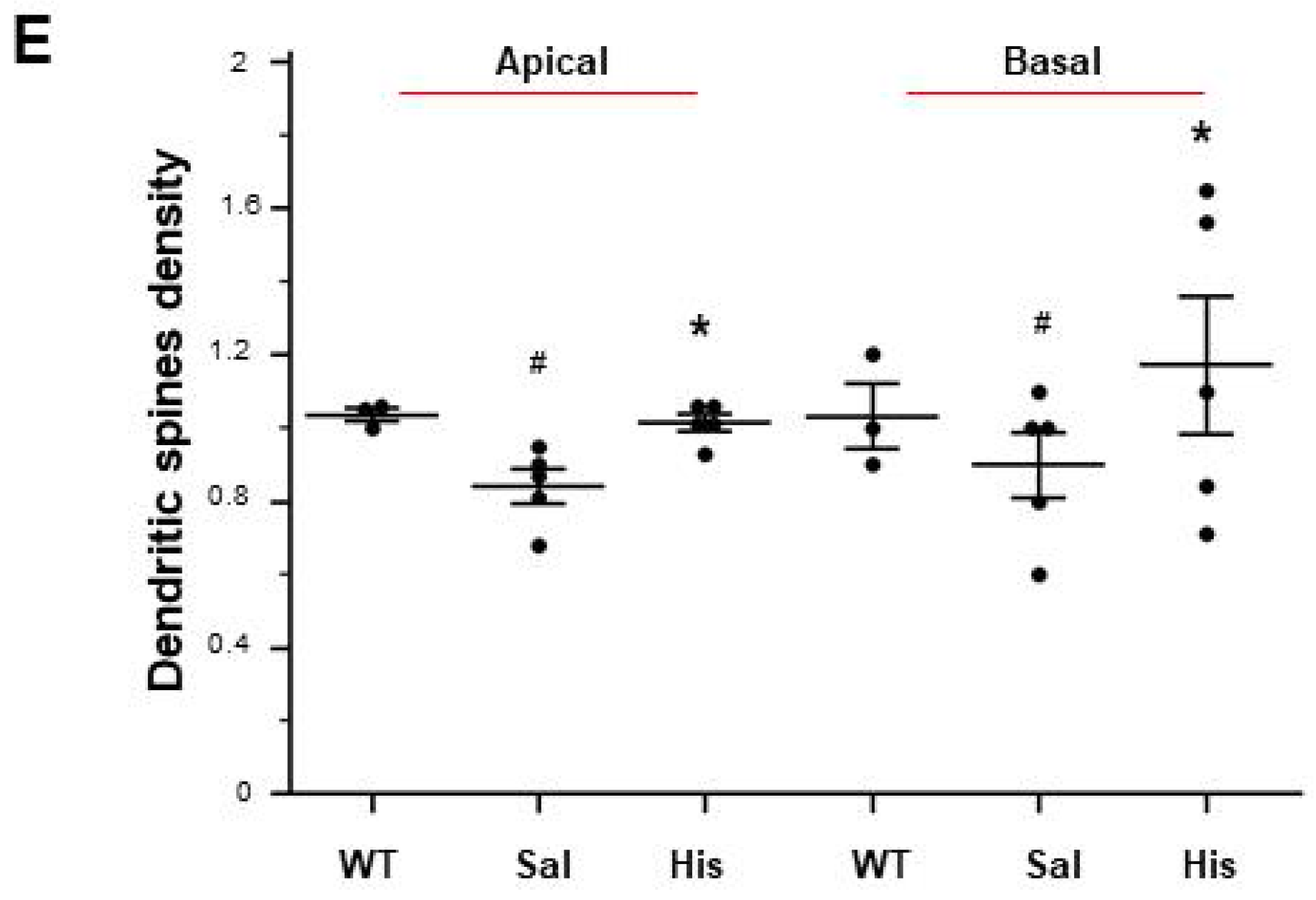 Ijms 20 03793 g004b Ijms 20 03793 g004b