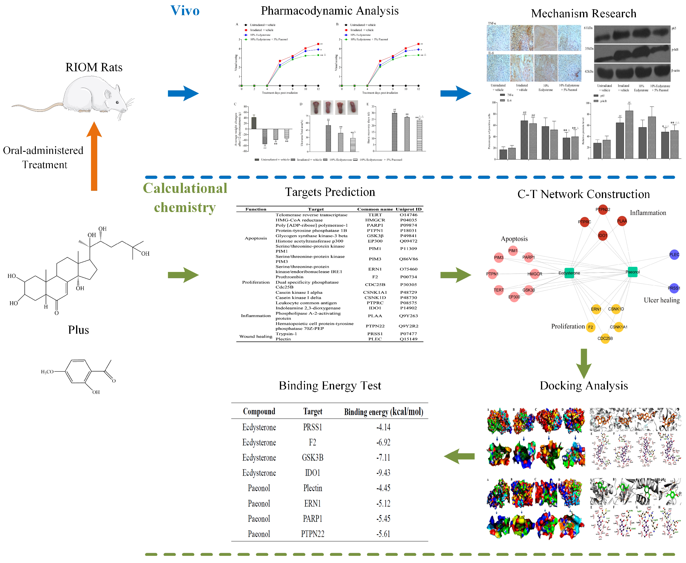 Ijms 20 03800 g002 Ijms 20 03800 g002
