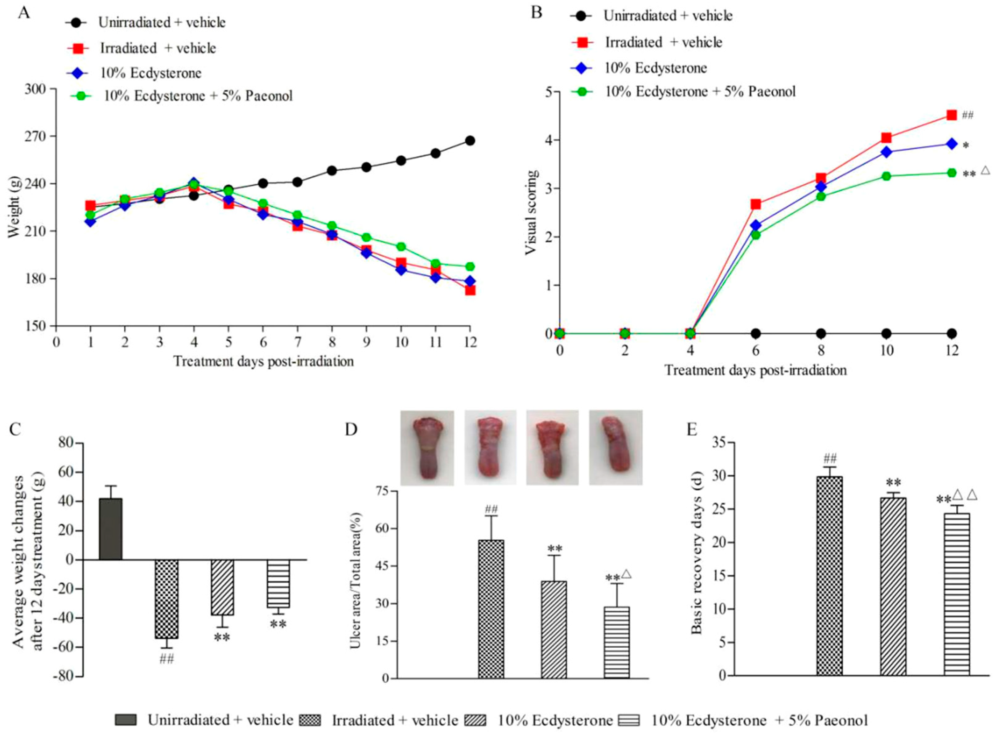 Ijms 20 03800 g003 Ijms 20 03800 g003