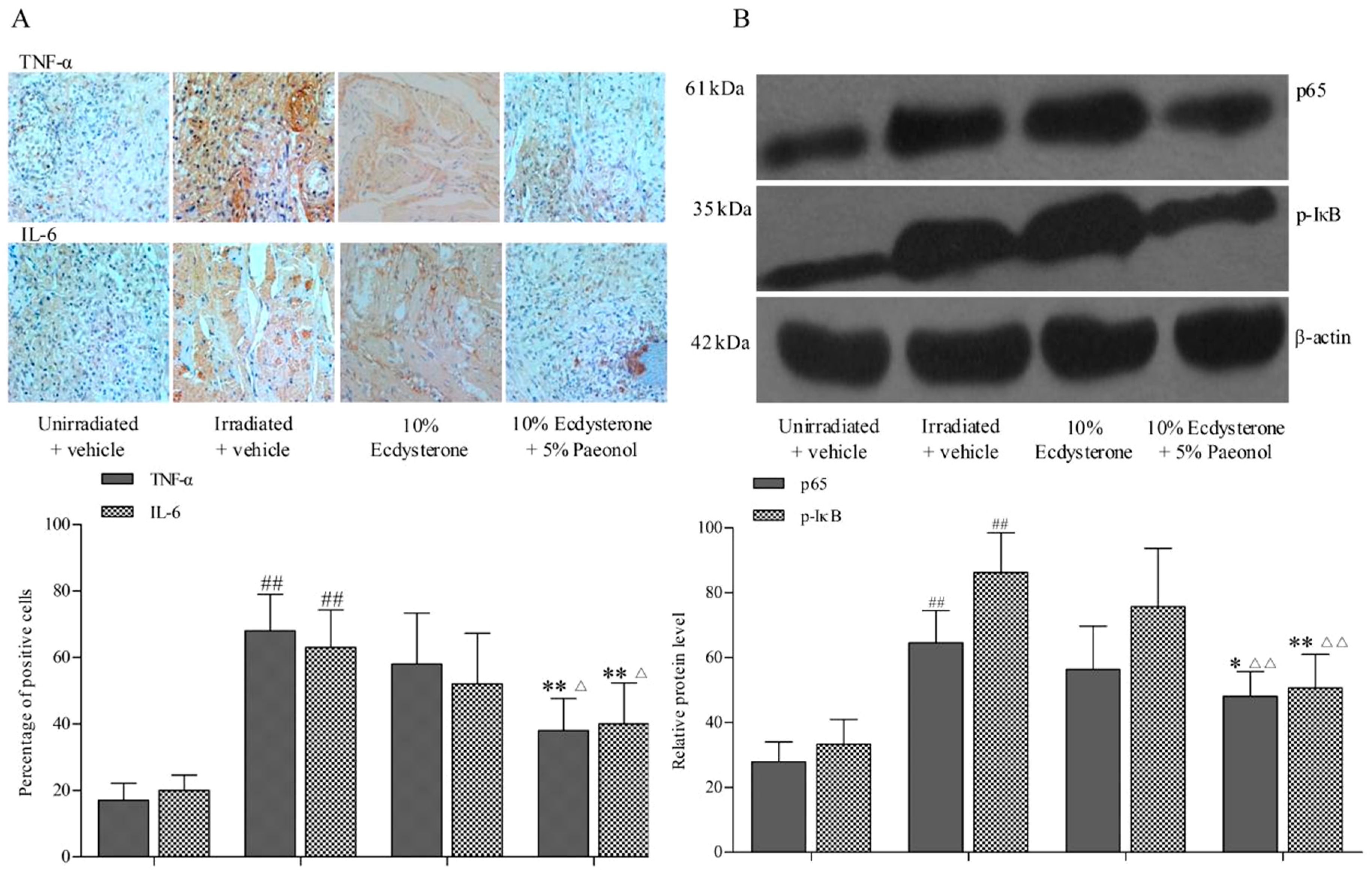 Ijms 20 03800 g004 Ijms 20 03800 g004