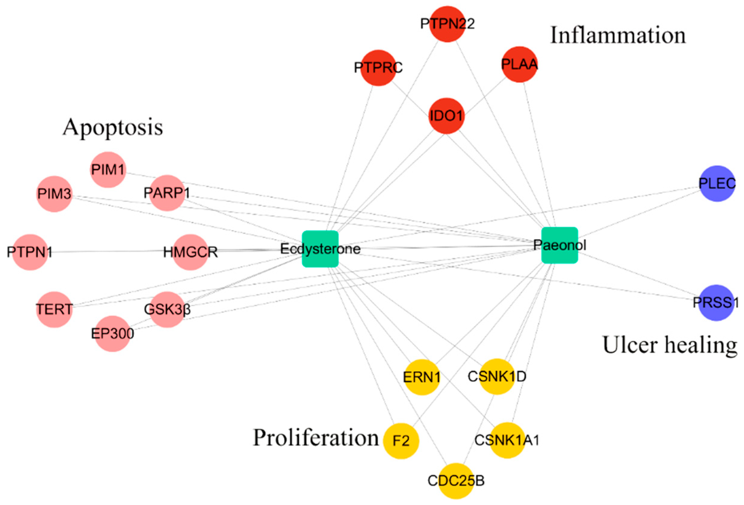 Ijms 20 03800 g005 Ijms 20 03800 g005