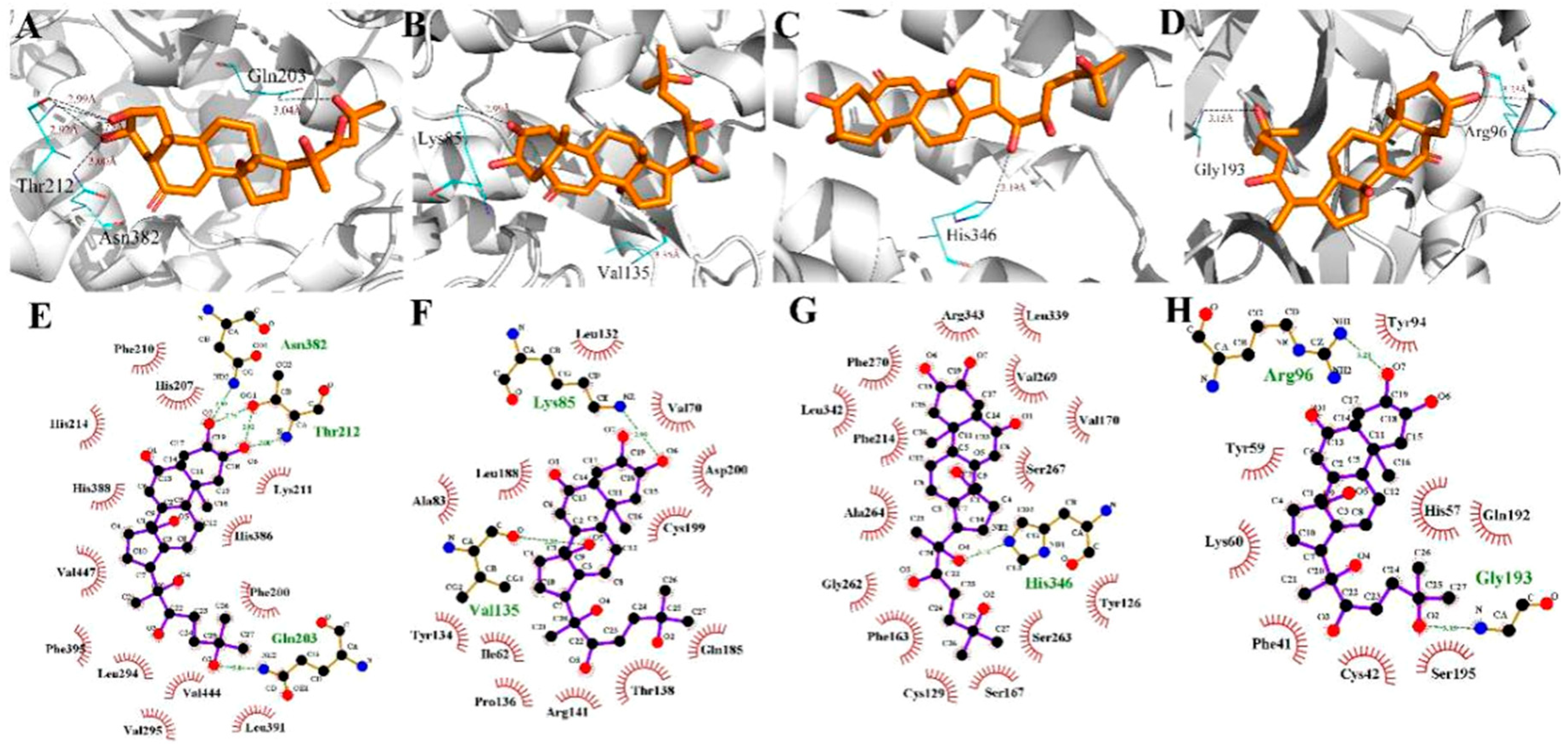 Ijms 20 03800 g006 Ijms 20 03800 g006