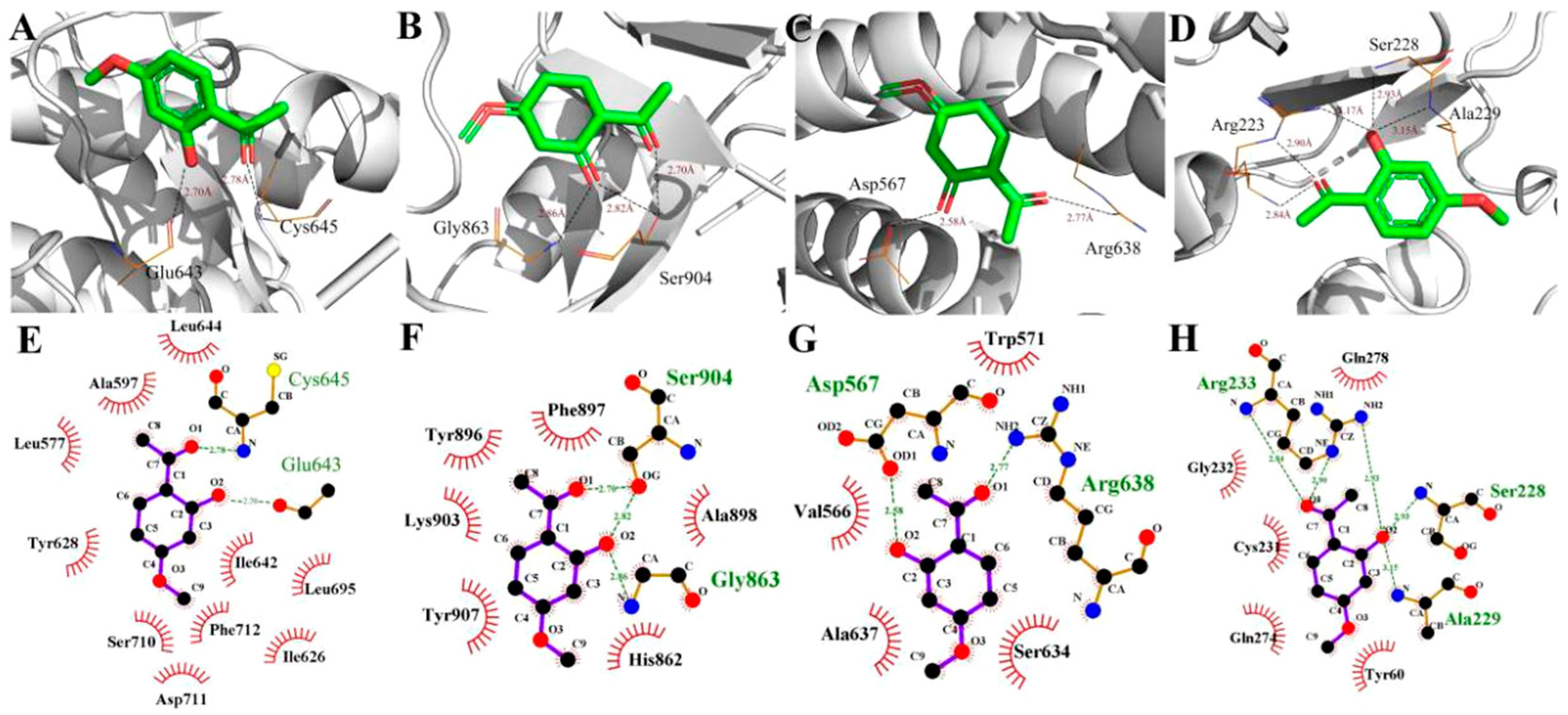 Ijms 20 03800 g007 Ijms 20 03800 g007