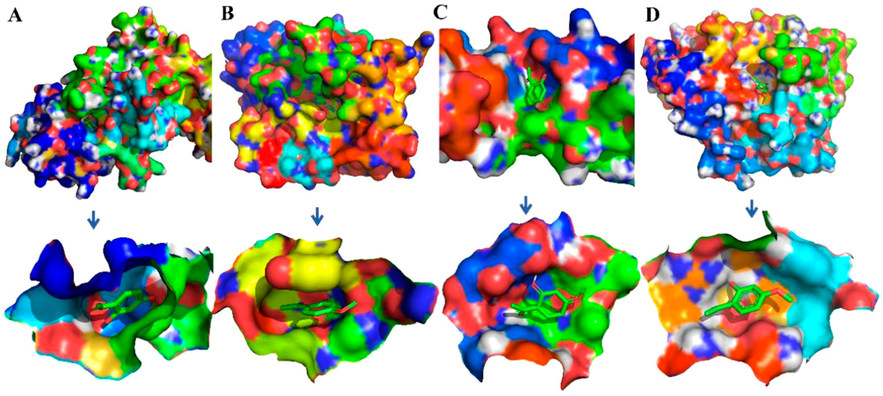 Ijms 20 03800 g008 Ijms 20 03800 g008