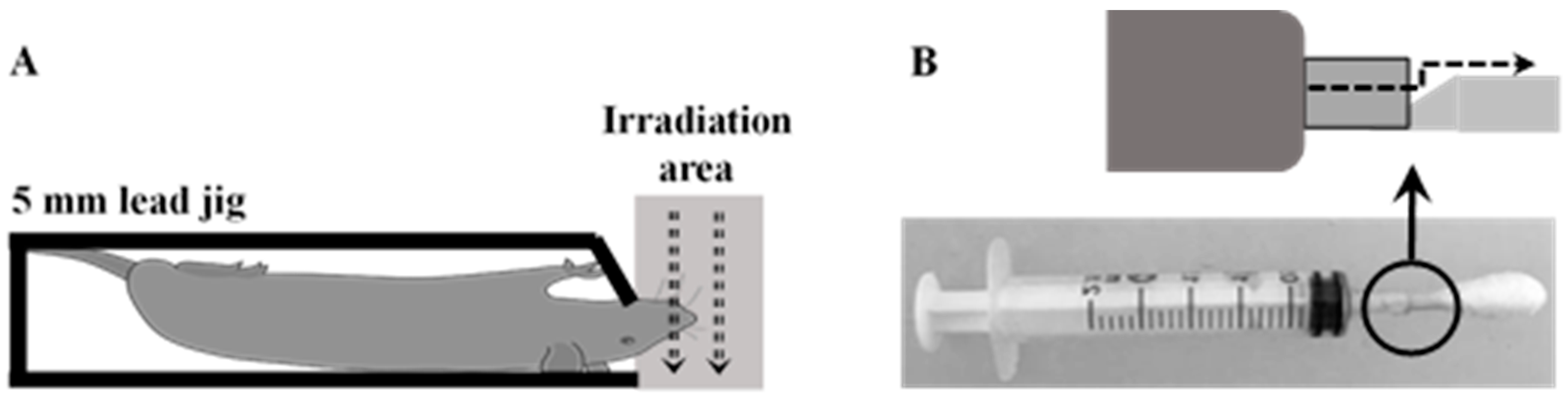 Ijms 20 03800 g009 Ijms 20 03800 g009