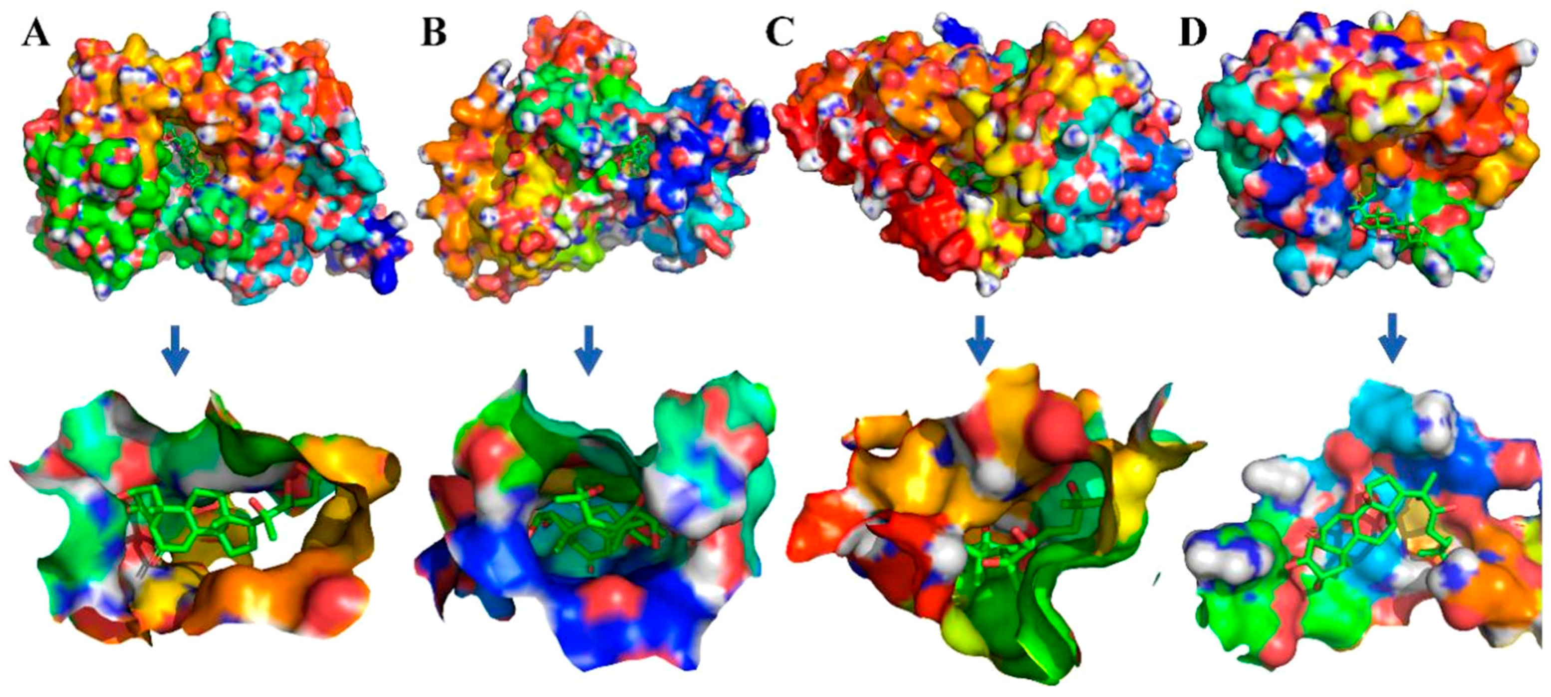 Ijms 20 03800 g010 Ijms 20 03800 g010