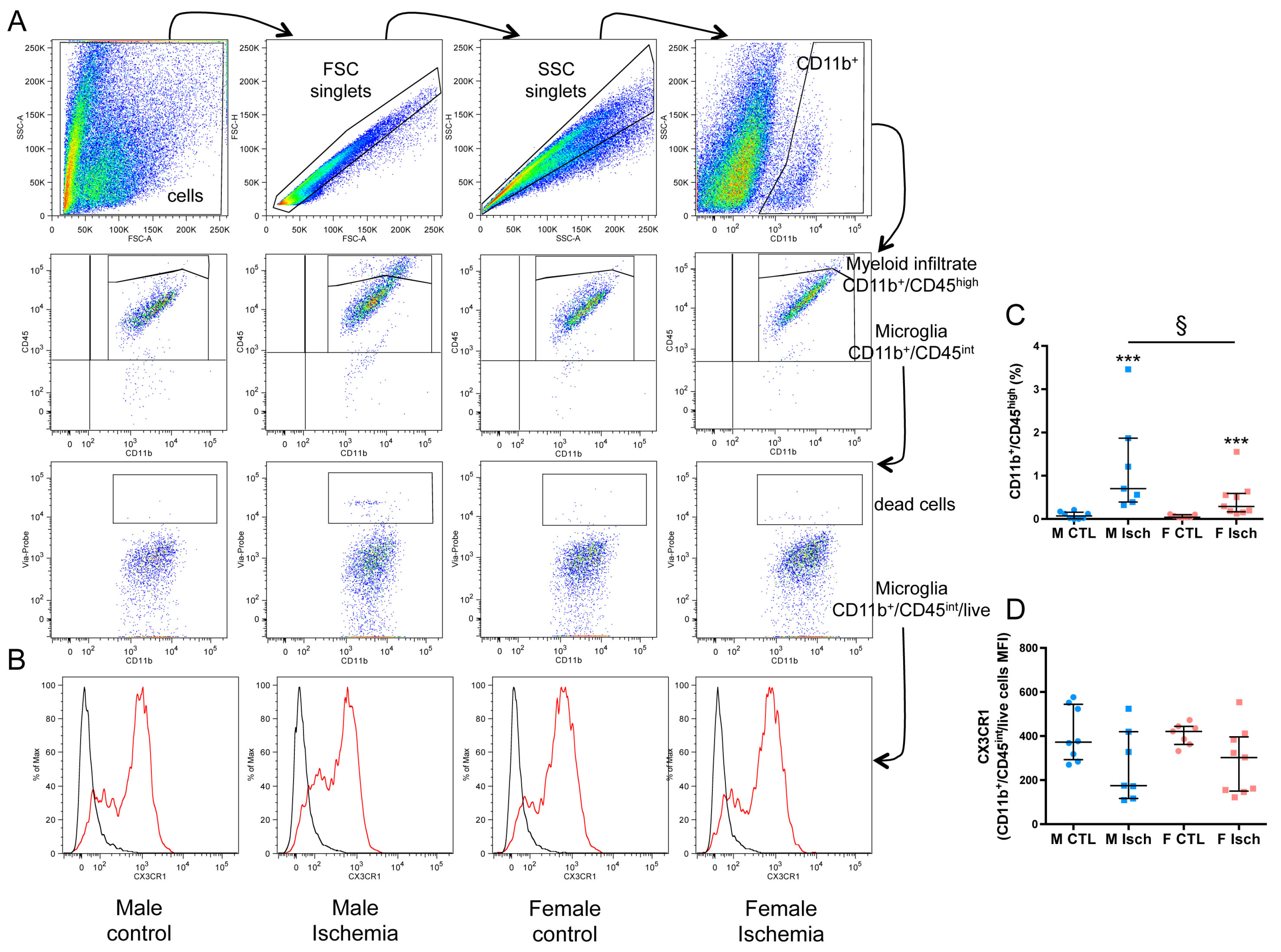 Ijms 20 03809 g004 Ijms 20 03809 g004