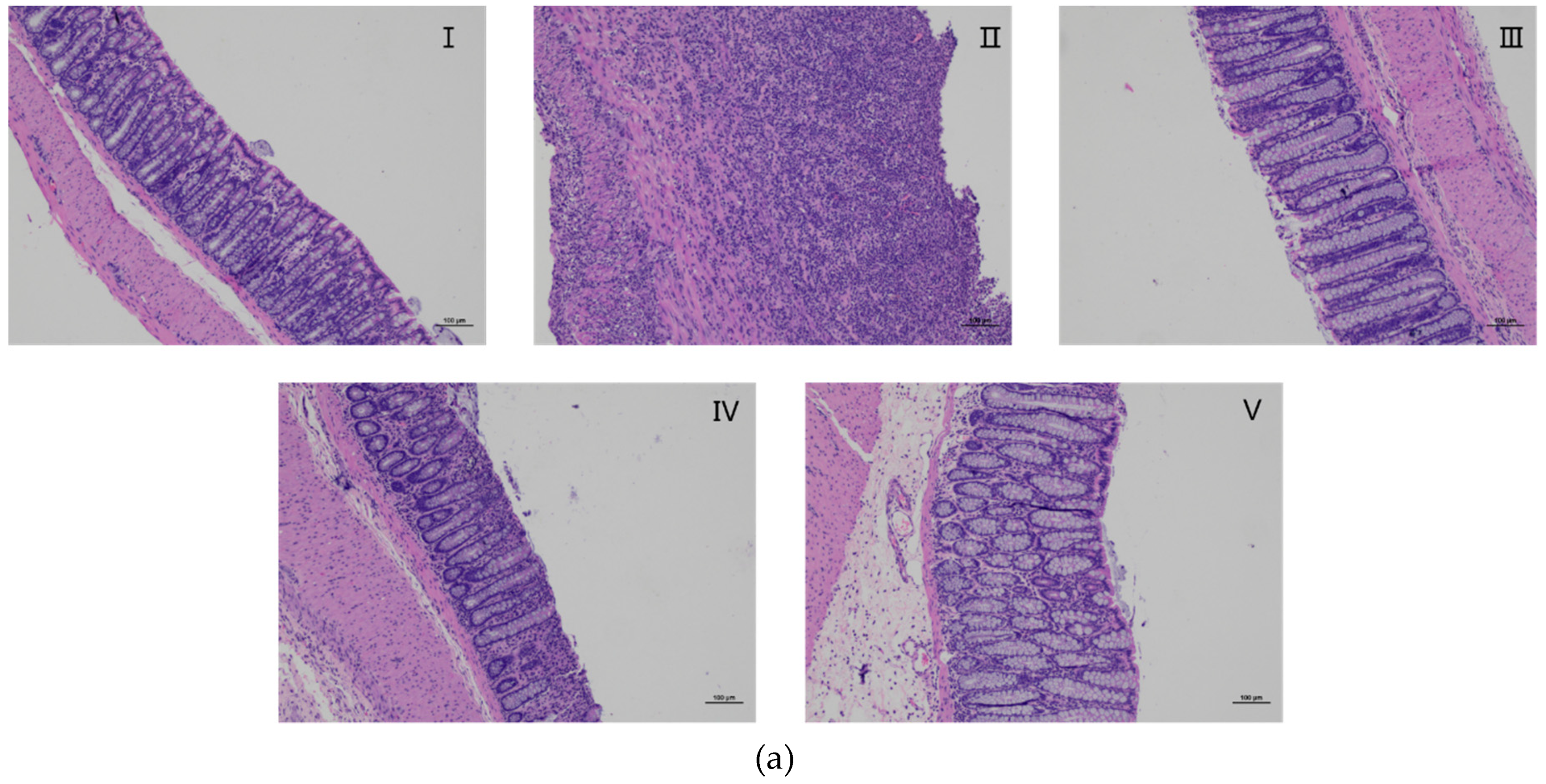 Ijms 20 03816 g006a