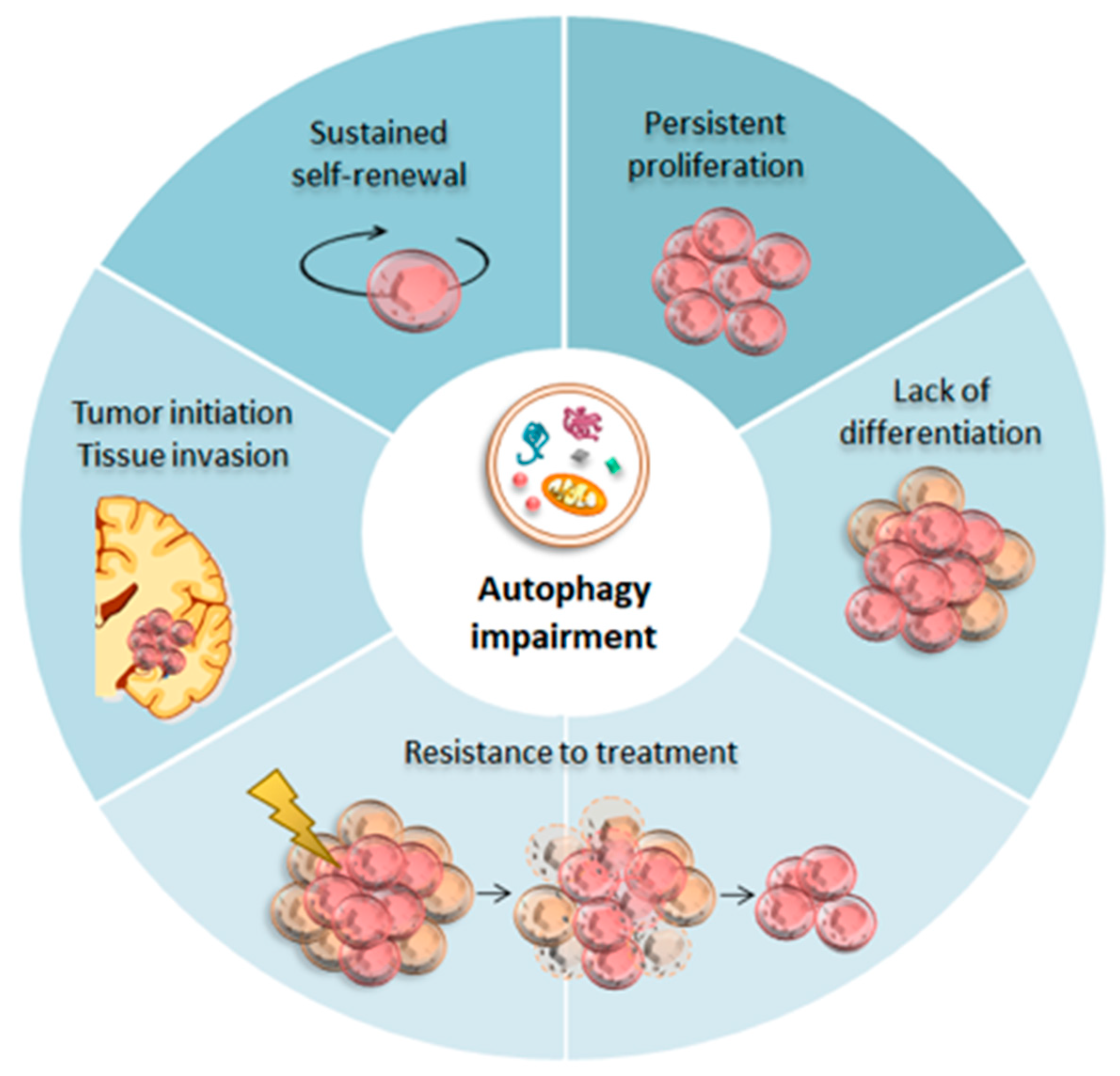 Ijms 20 03824 g002 Ijms 20 03824 g002