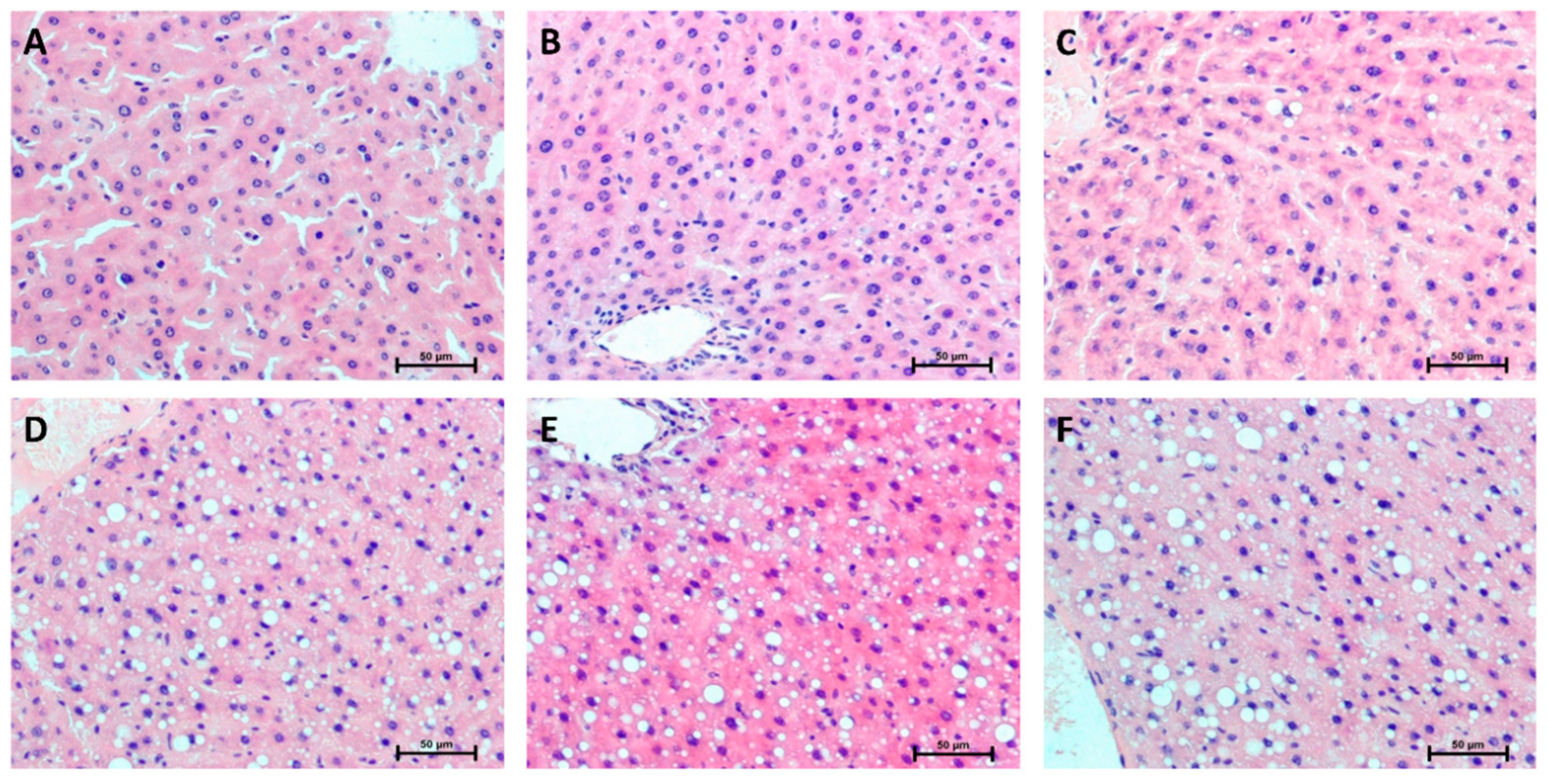 Ijms 20 03829 g008 Ijms 20 03829 g008