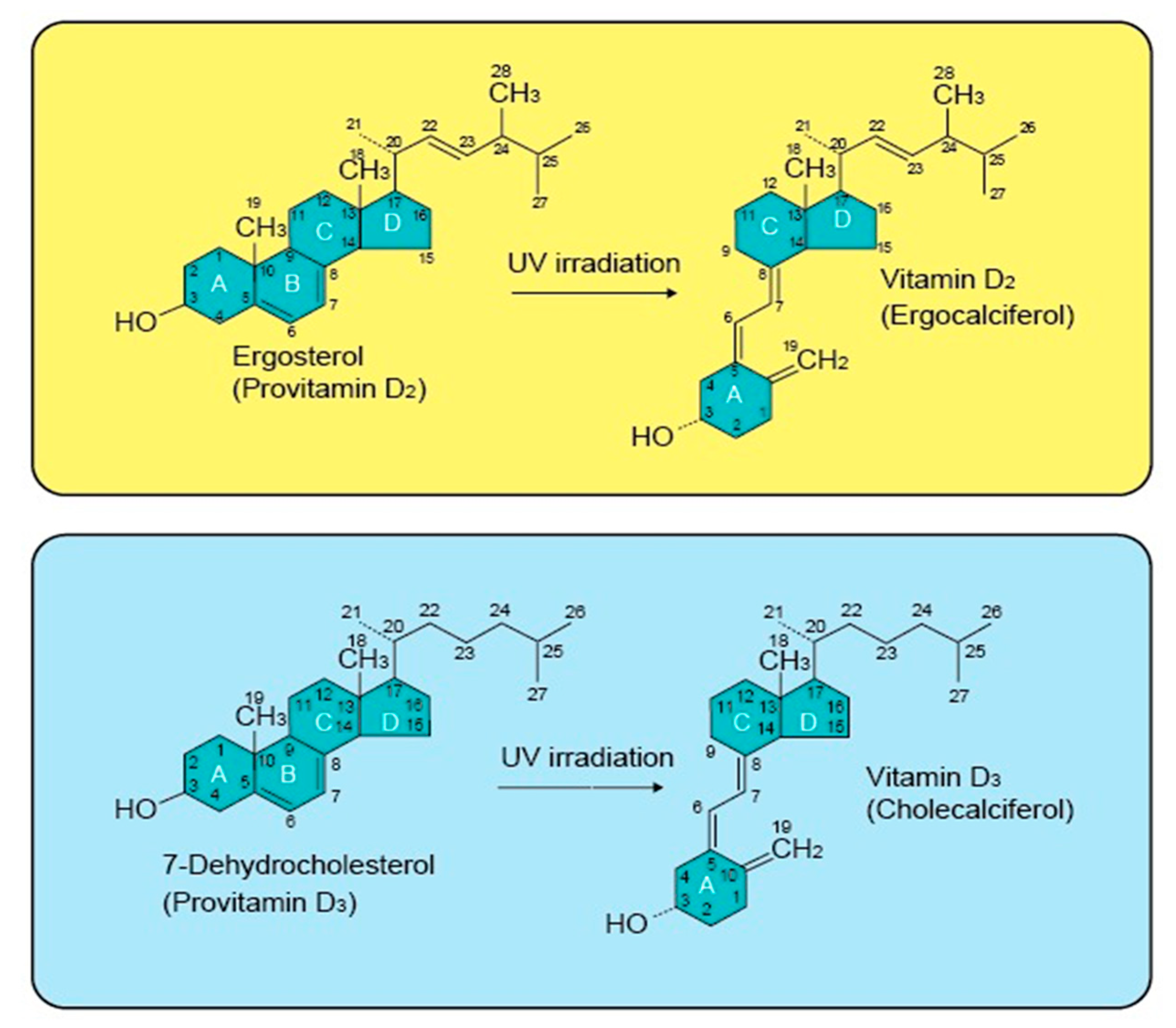 Ijms Free Full Text A Narrative Role Of Vitamin D And