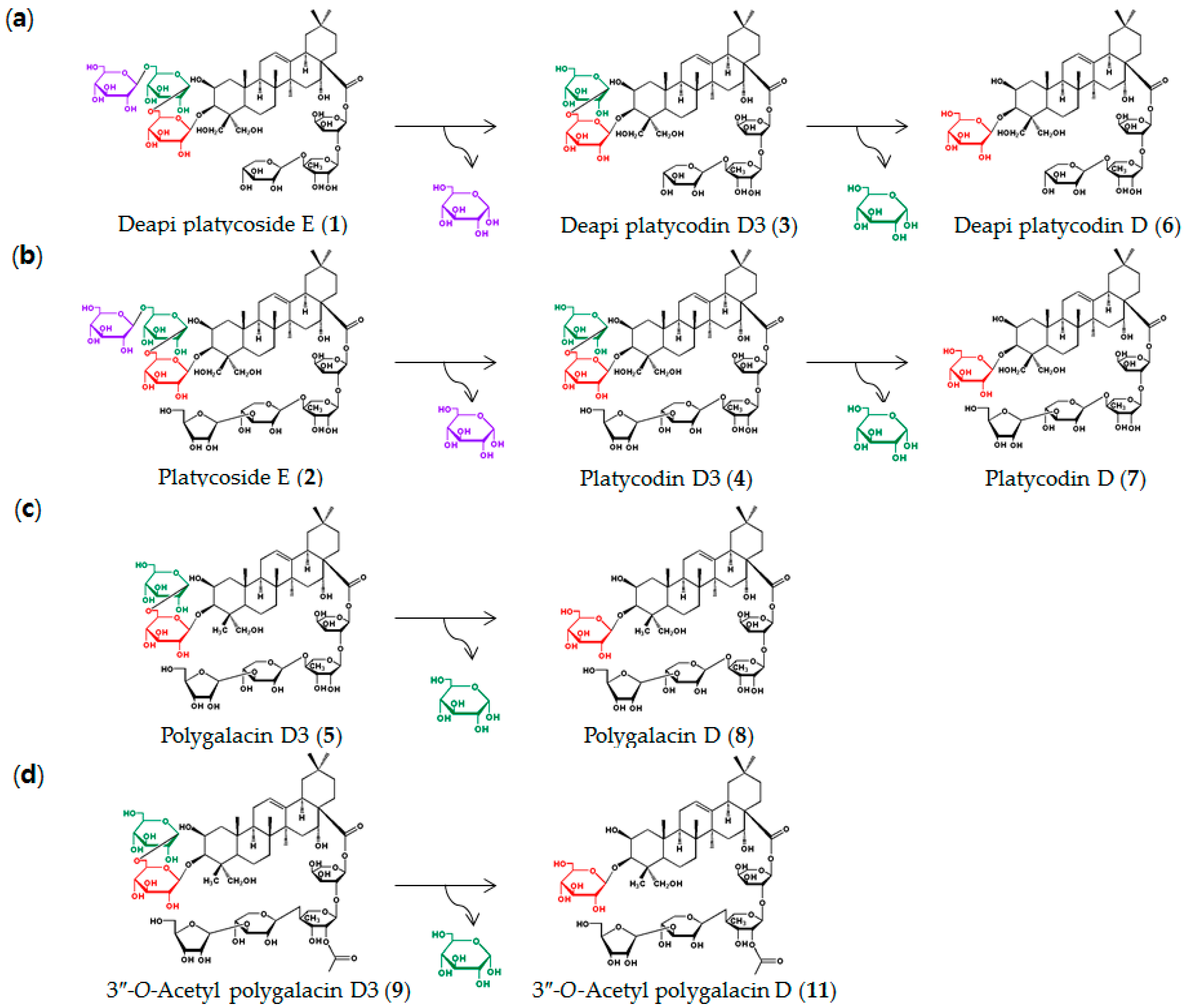 Ijms 20 03854 g002 Ijms 20 03854 g002
