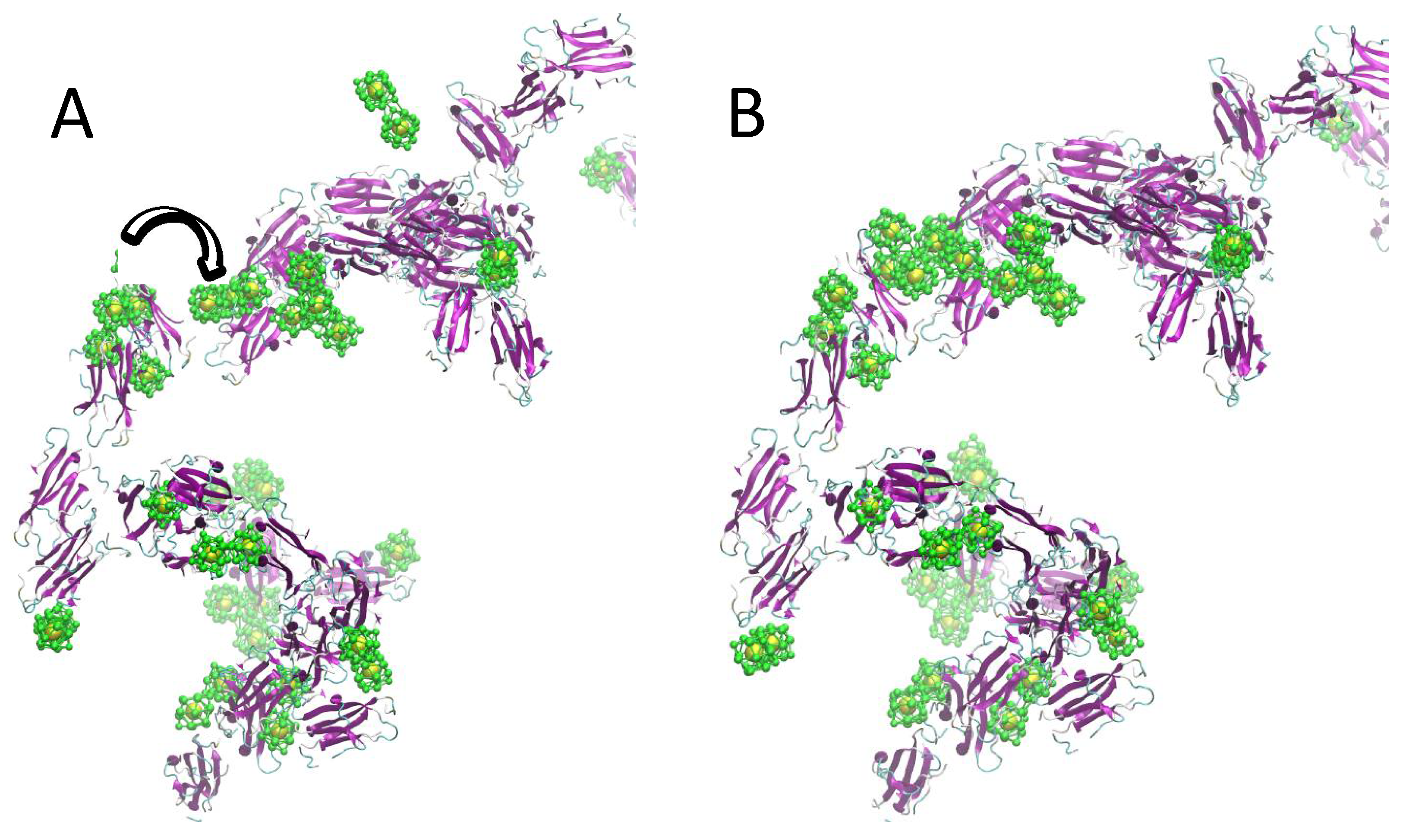 Ijms 20 03866 g003 Ijms 20 03866 g003