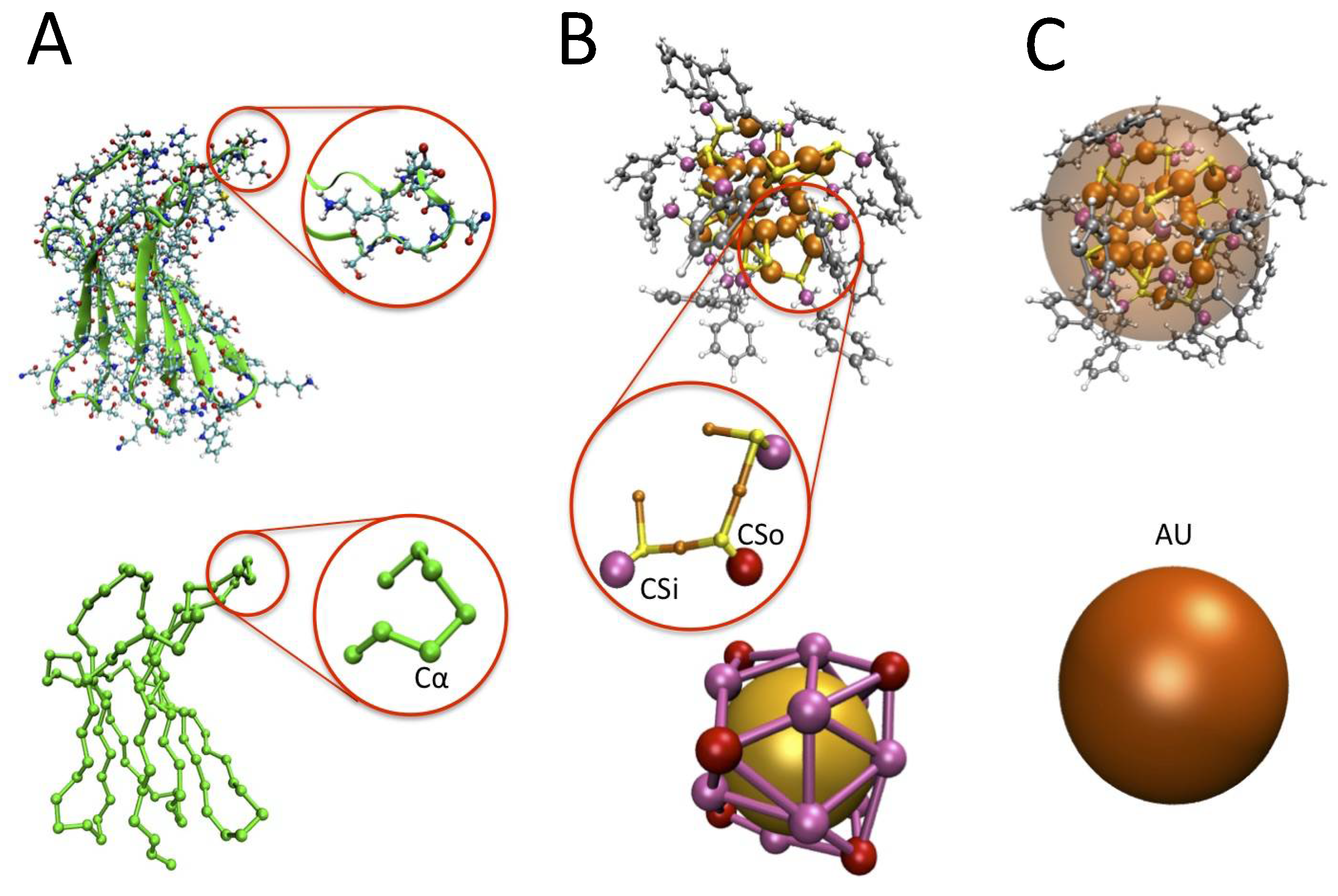 Ijms 20 03866 g006 Ijms 20 03866 g006