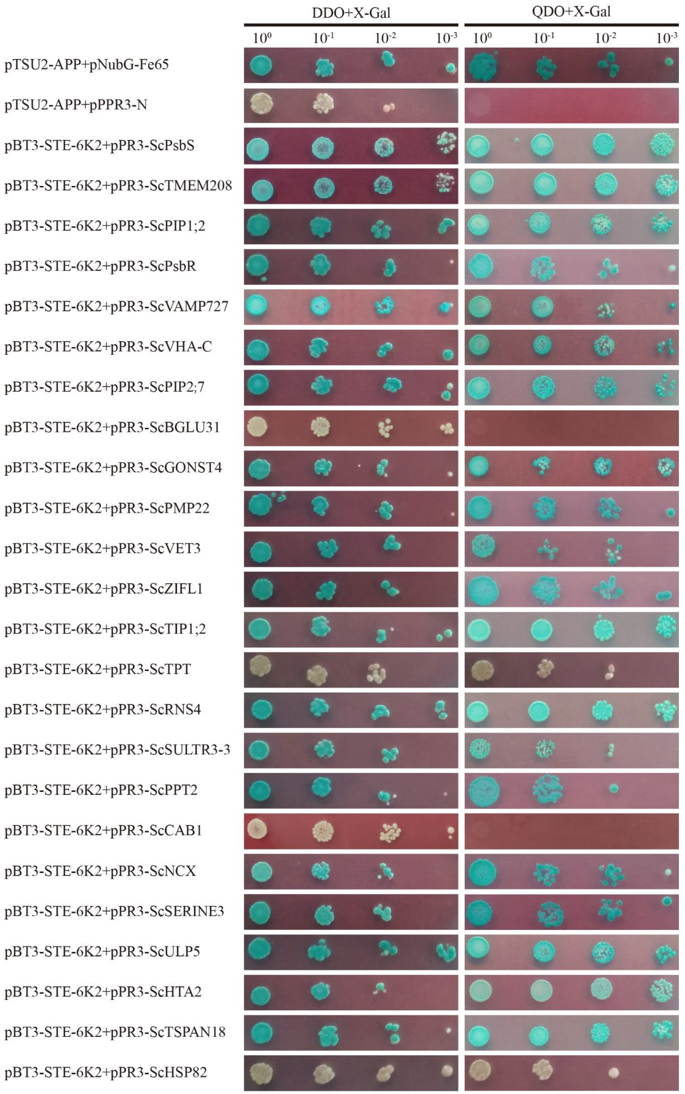 Ijms 20 03867 g003 Ijms 20 03867 g003